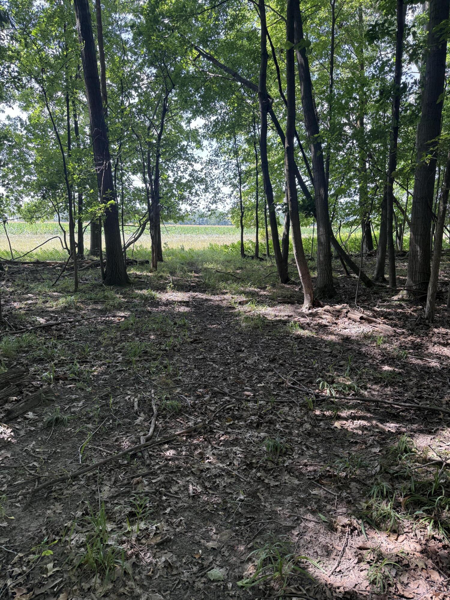 8670 N Baldwin Road Property Photo 94