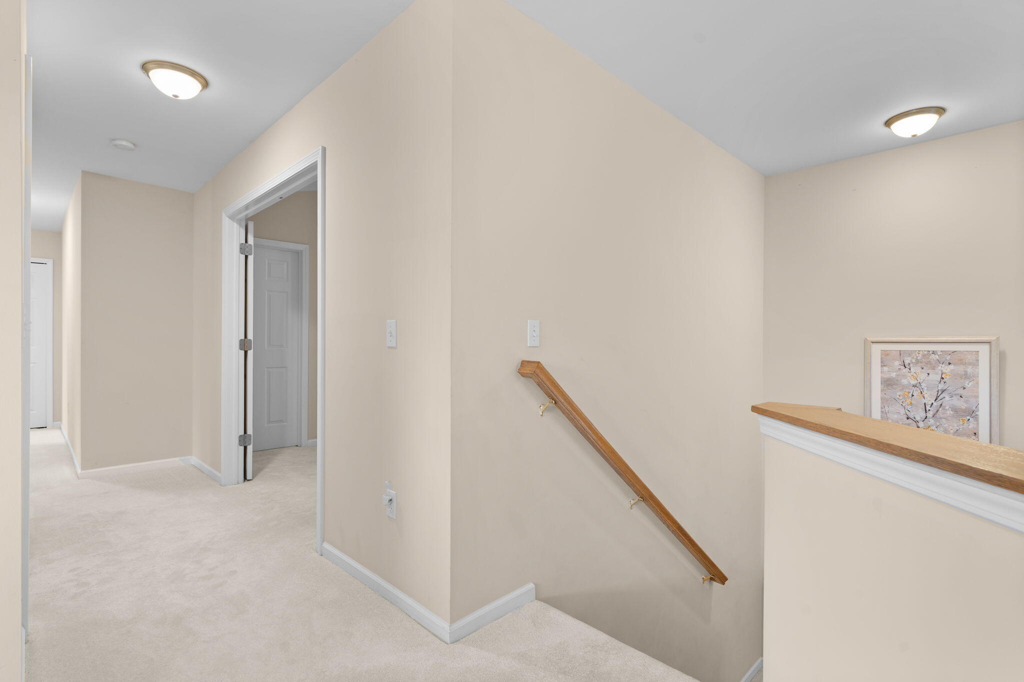 1338 Coach House Lane Property Photo 31