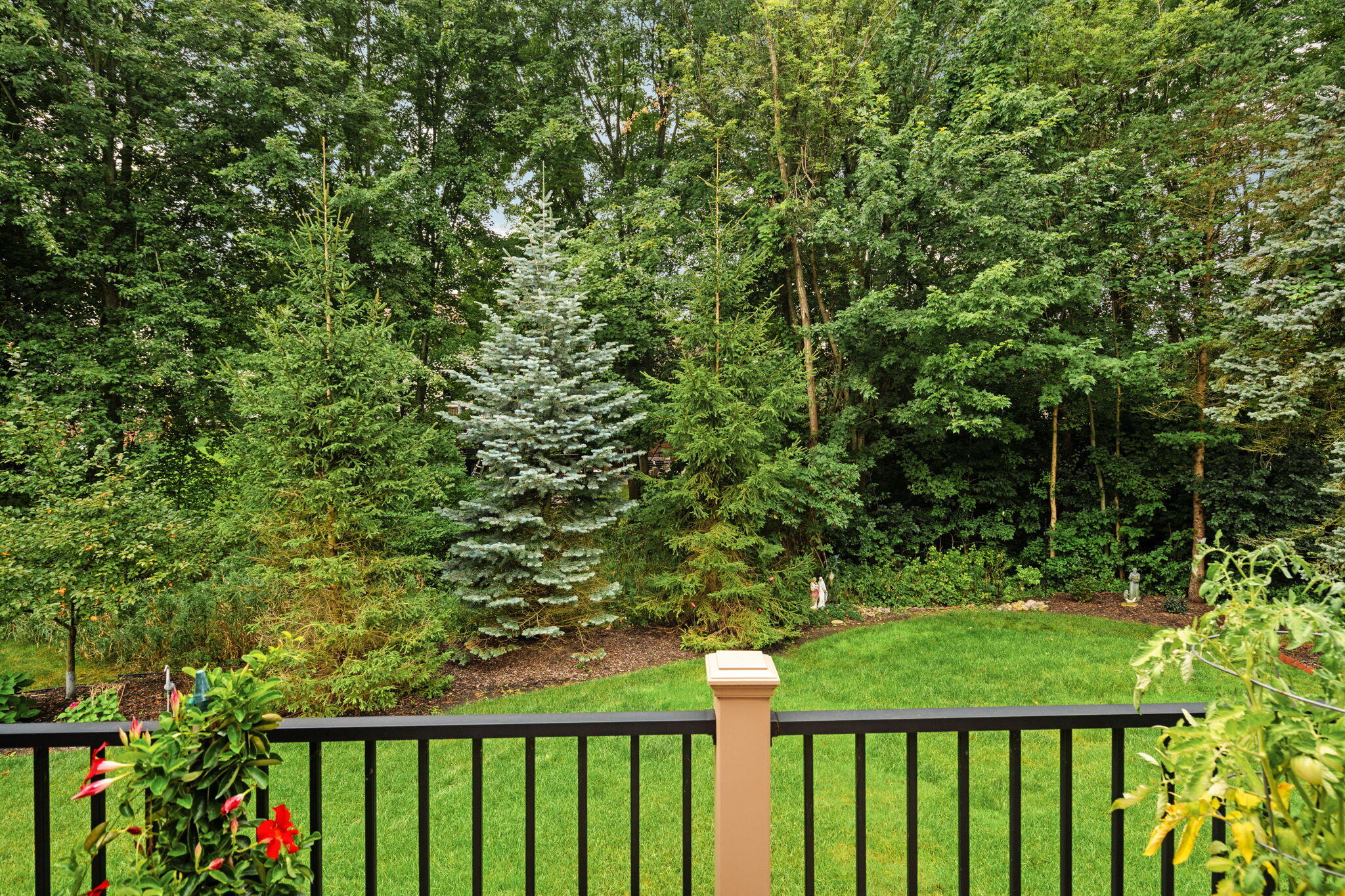 1338 Coach House Lane Property Photo 55