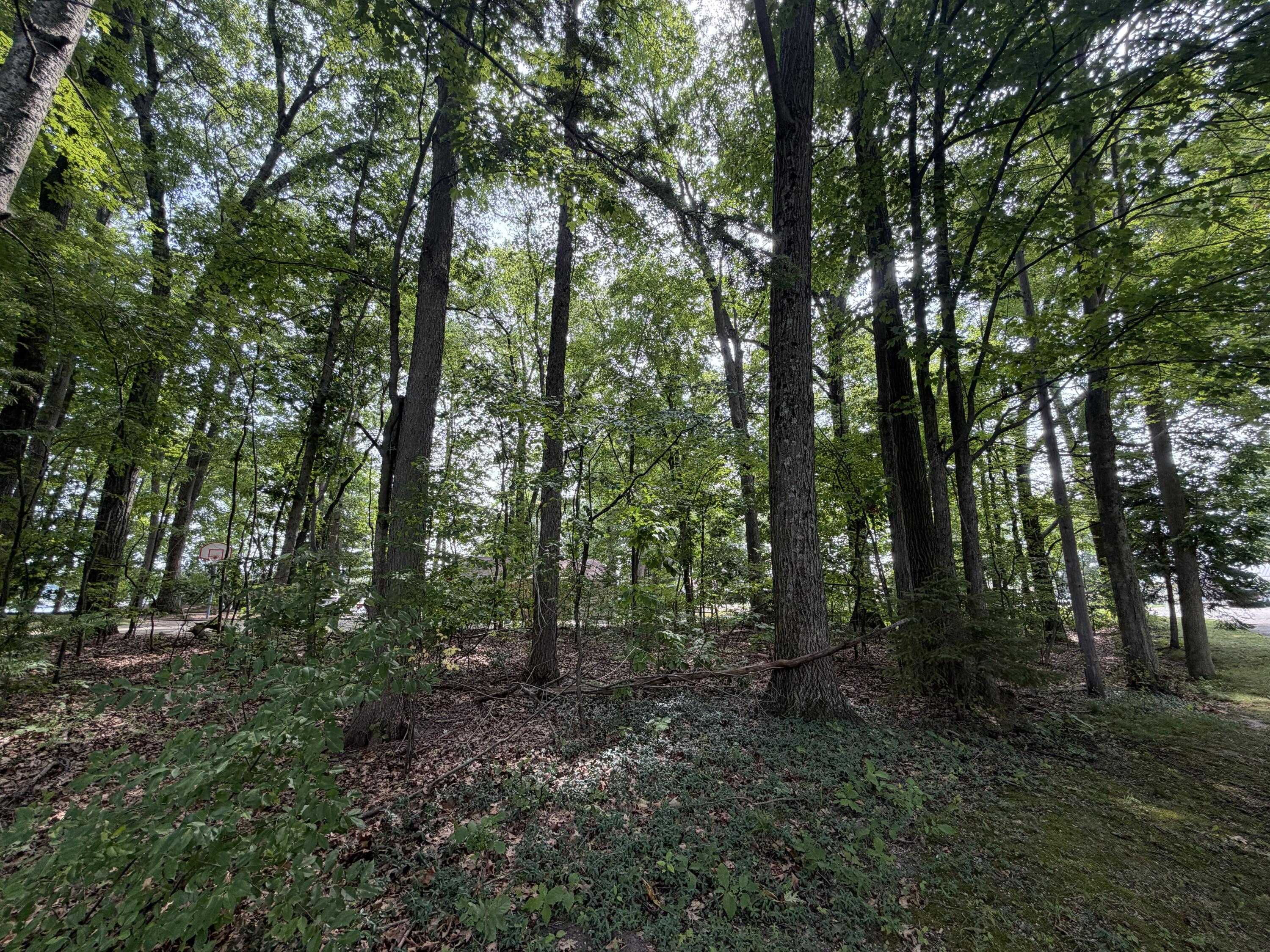 V/l S Deer Point Drive Property Photo 7