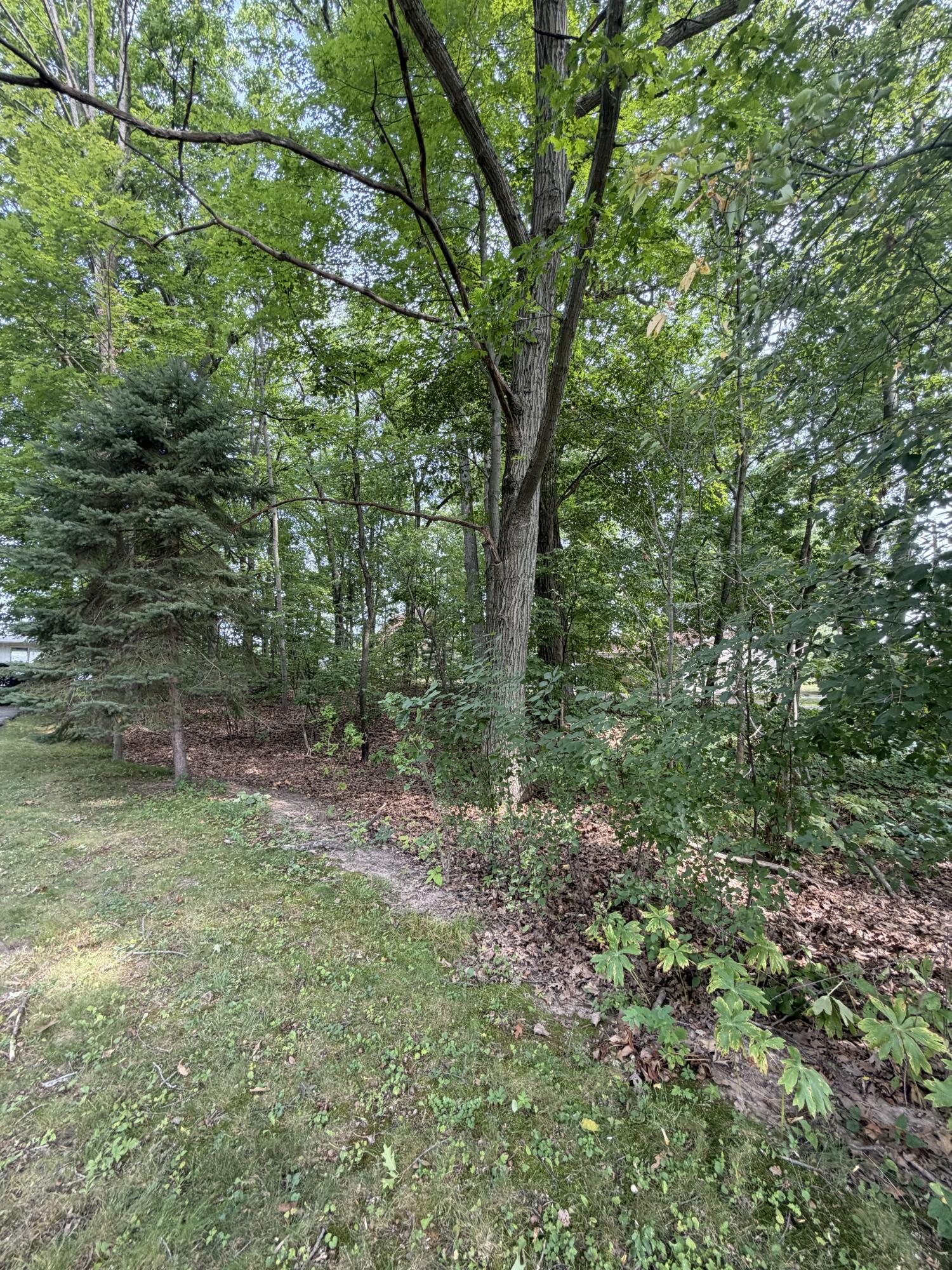 V/l S Deer Point Drive Property Photo 9