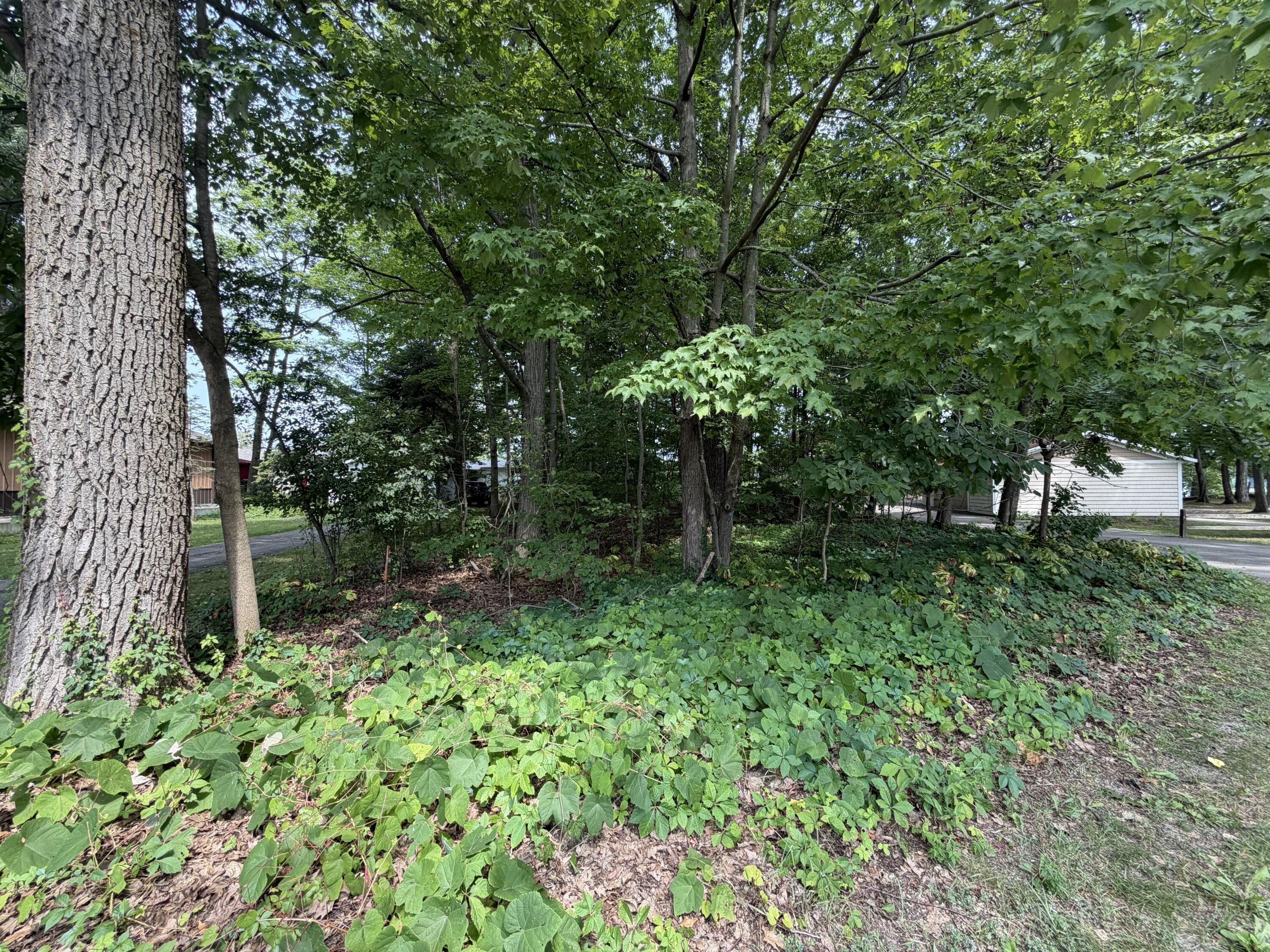 V/l S Deer Point Drive Property Photo 10