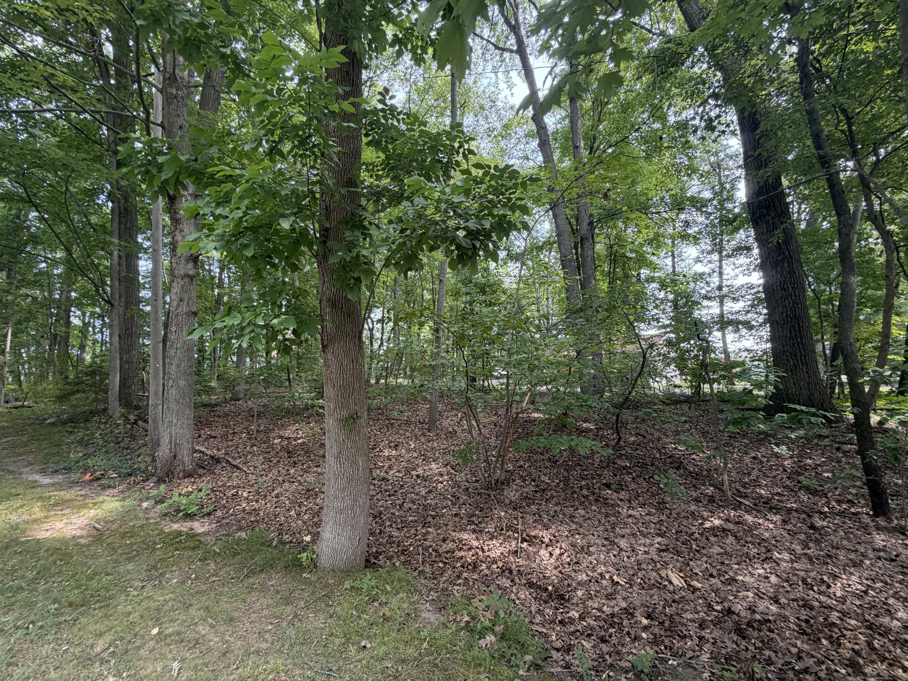 V/l S Deer Point Drive Property Photo 11