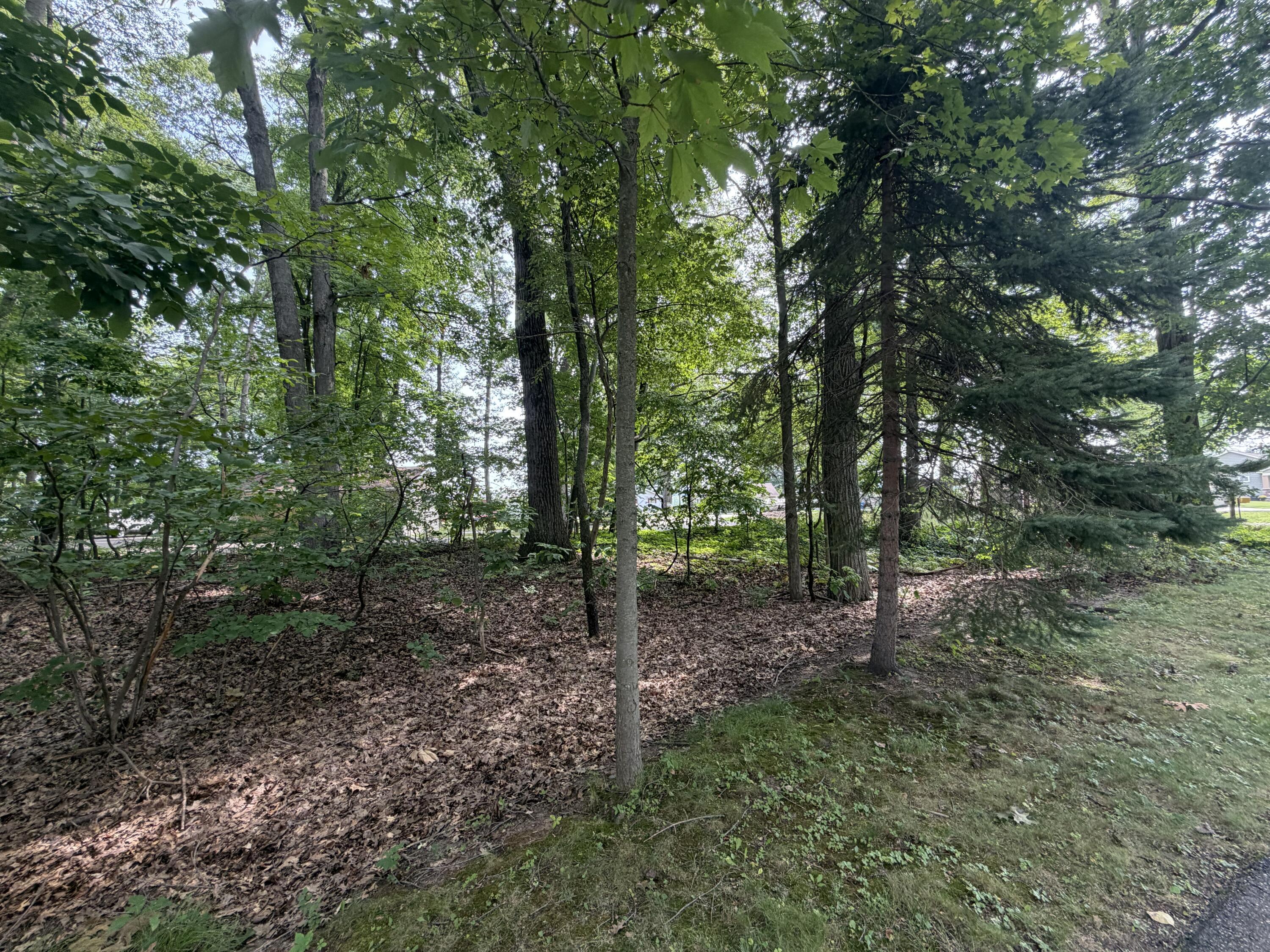 V/l S Deer Point Drive Property Photo 12