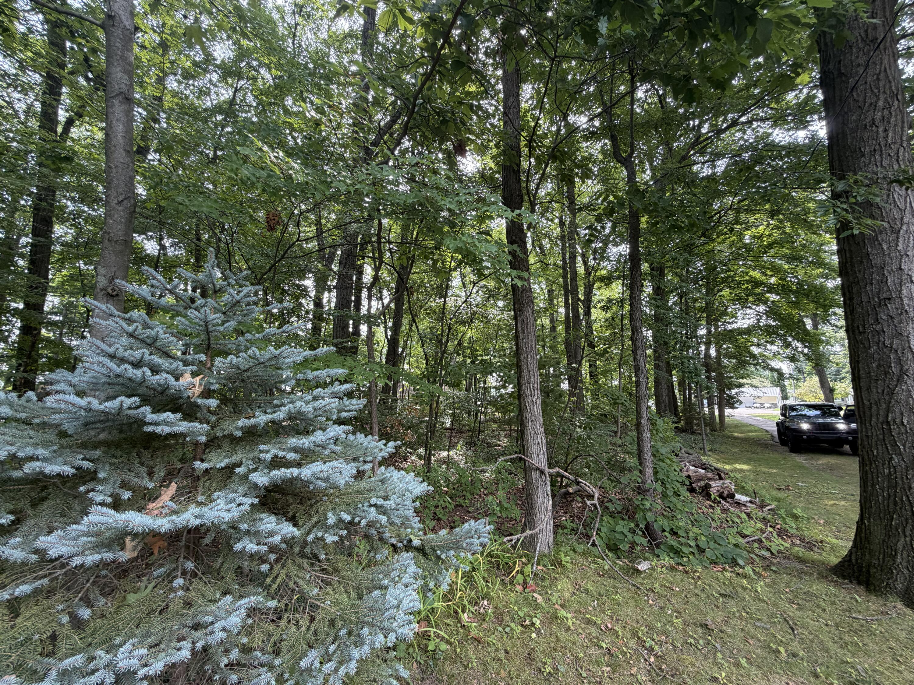 V/l S Deer Point Drive Property Photo 15