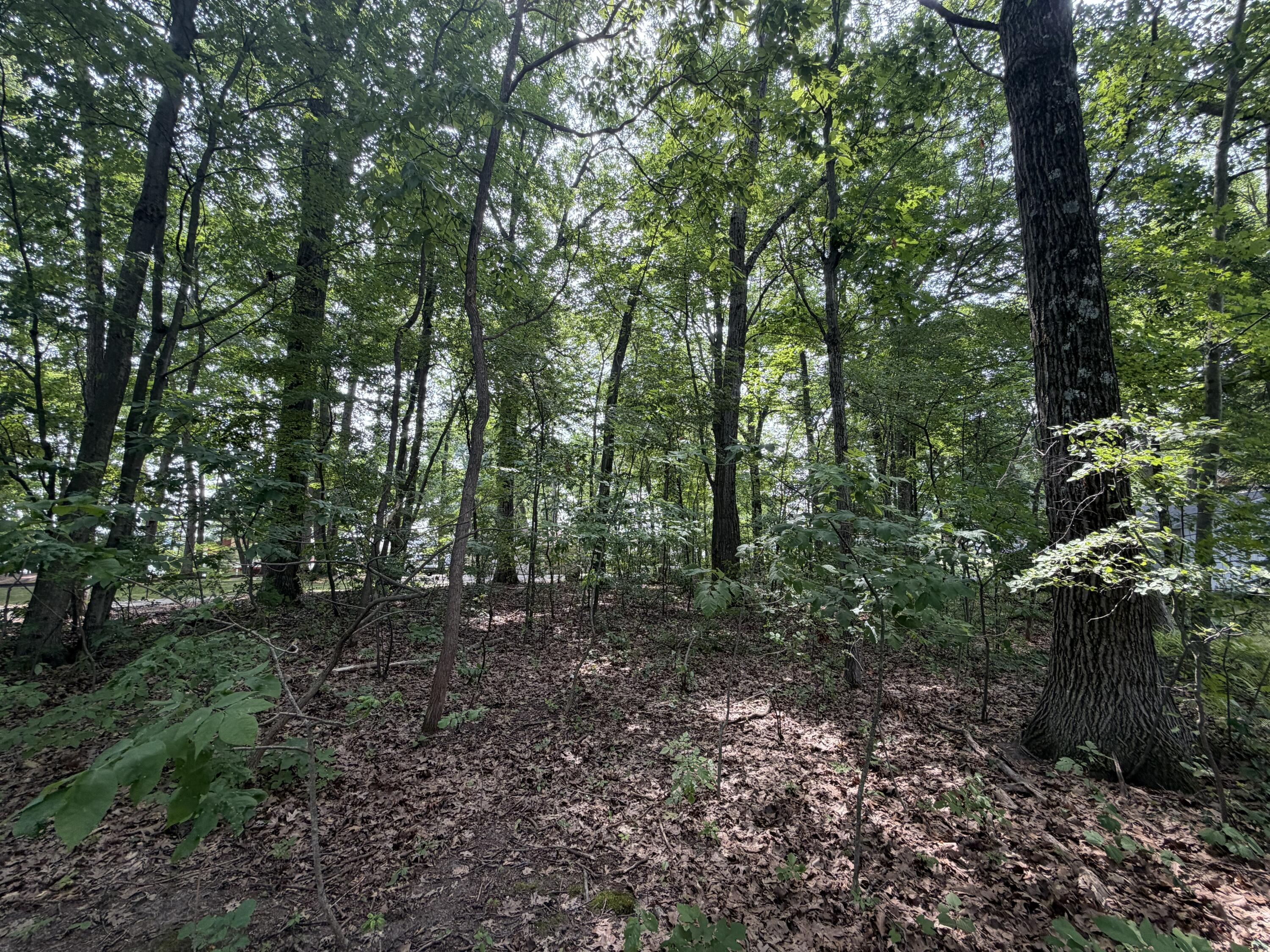 V/l S Deer Point Drive Property Photo 16