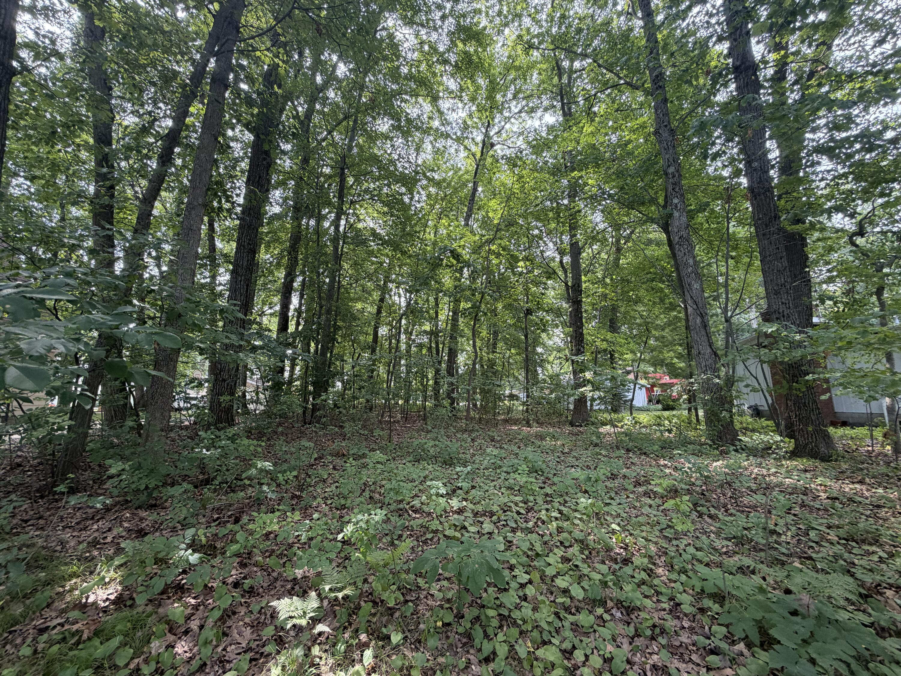 V/l S Deer Point Drive Property Photo 17