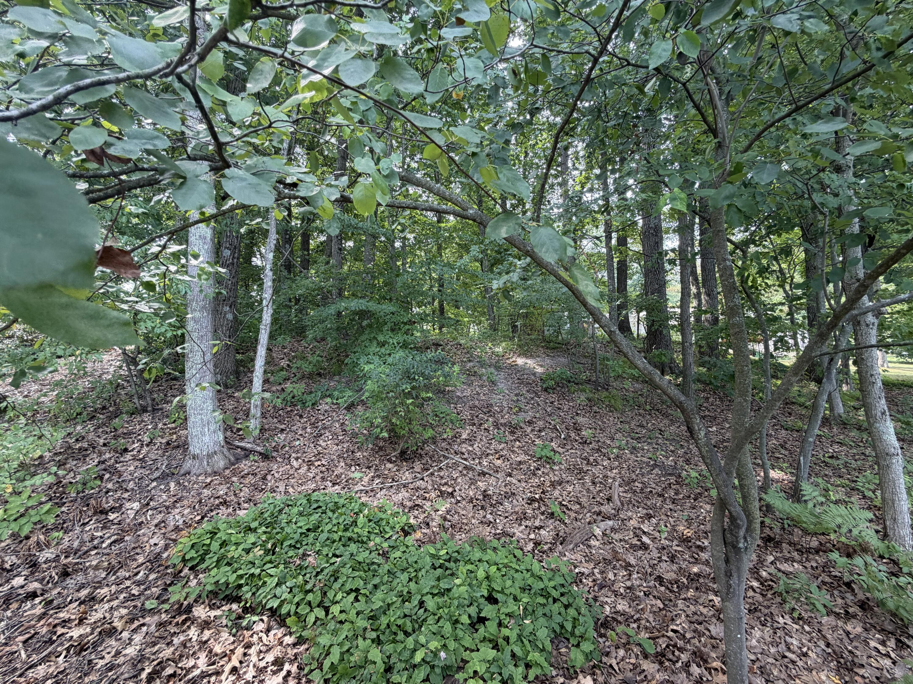 V/l S Deer Point Drive Property Photo 18