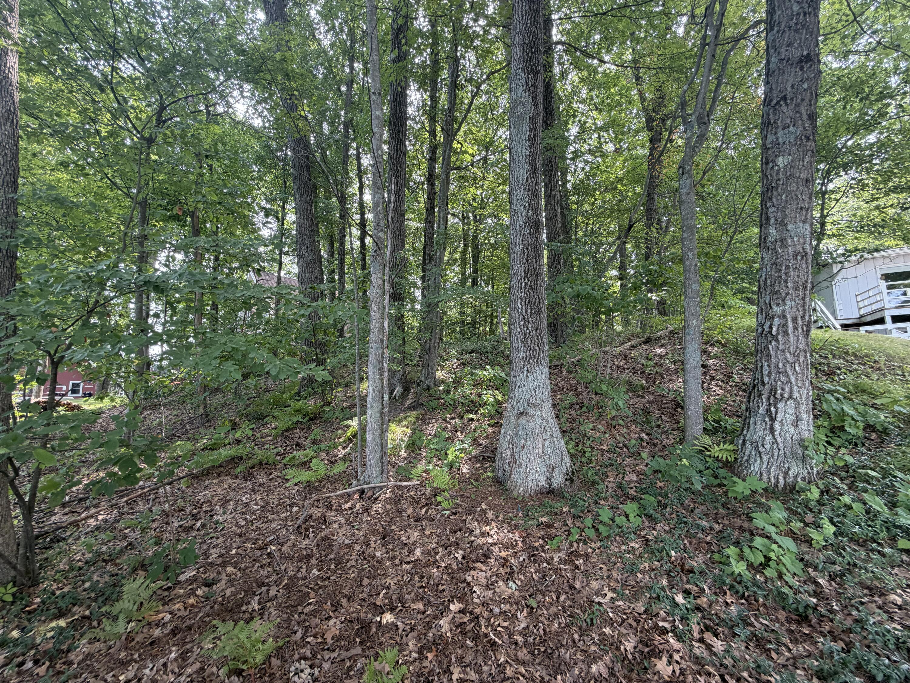 V/l S Deer Point Drive Property Photo 19