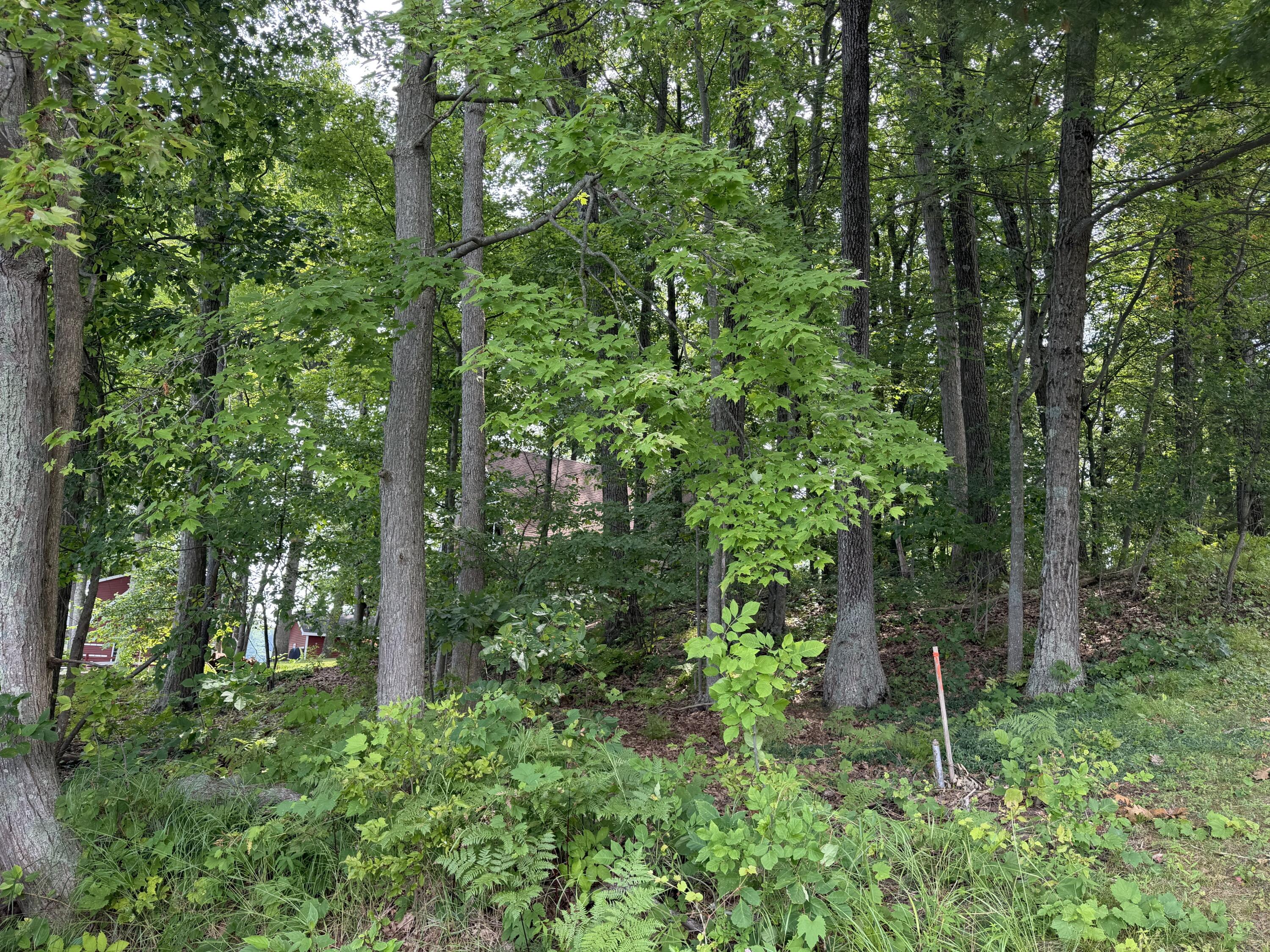 V/l S Deer Point Drive Property Photo 20