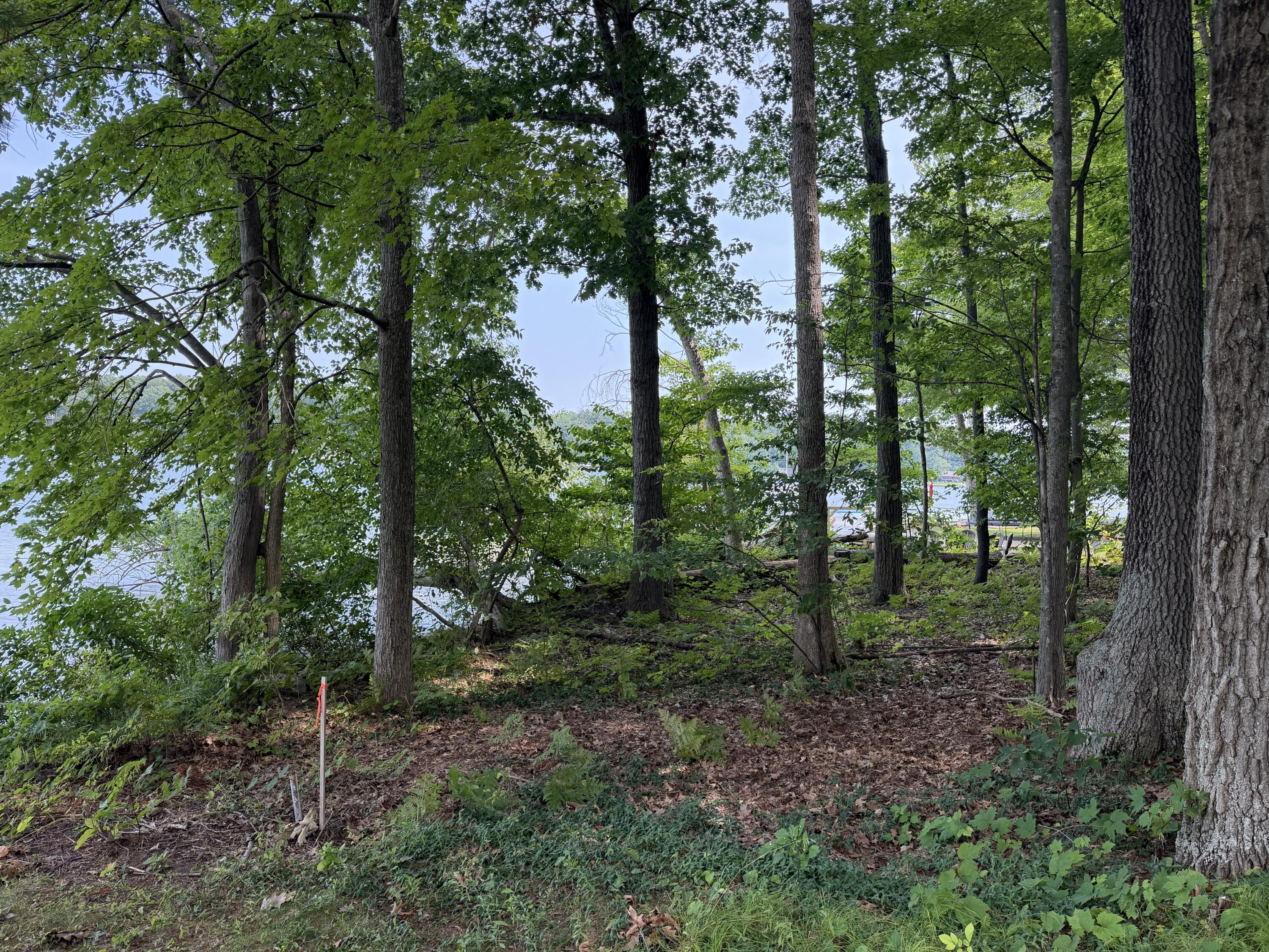 V/l S Deer Point Drive Property Photo 21