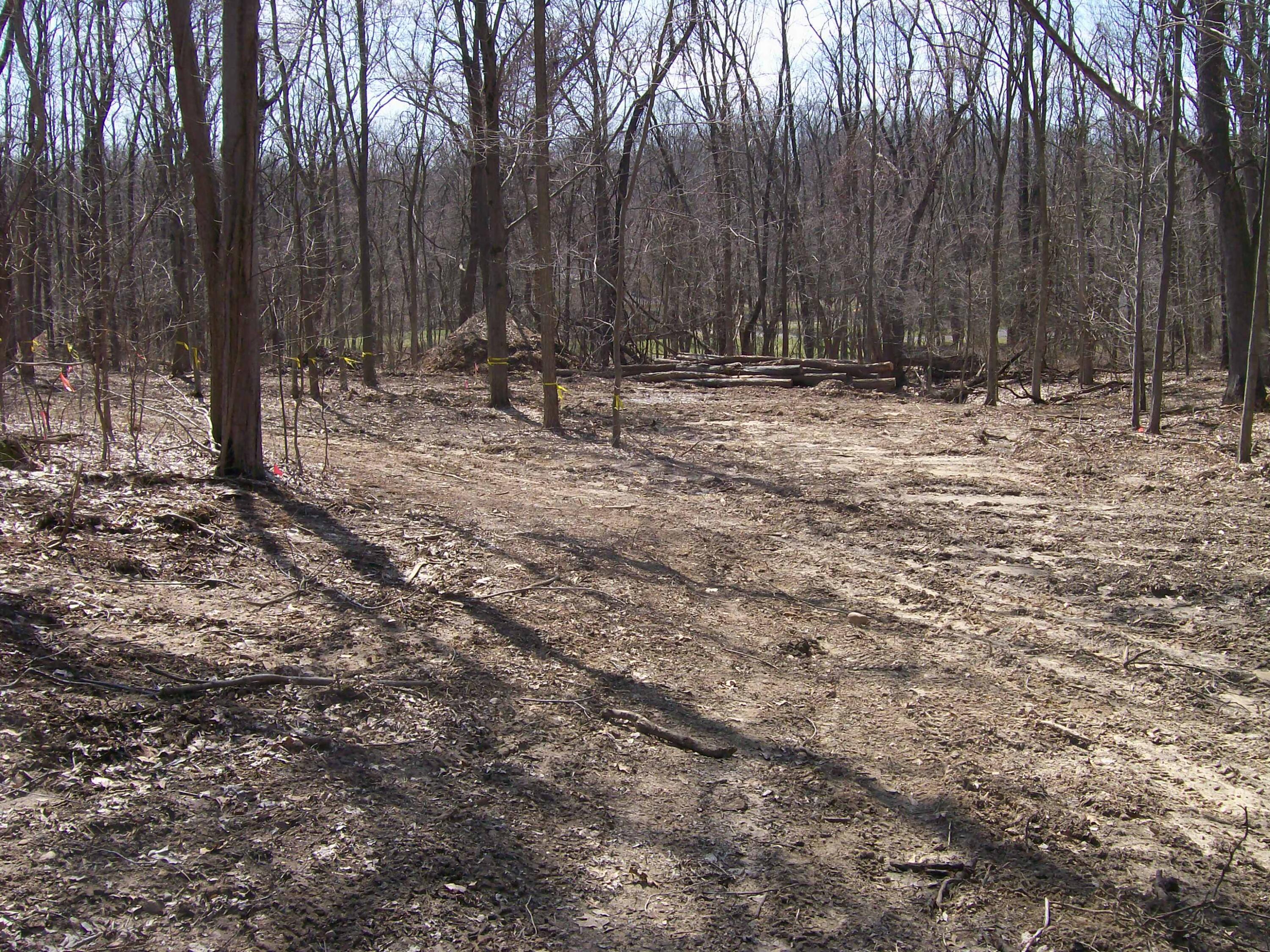 1630 Forest Trail Property Photo 2