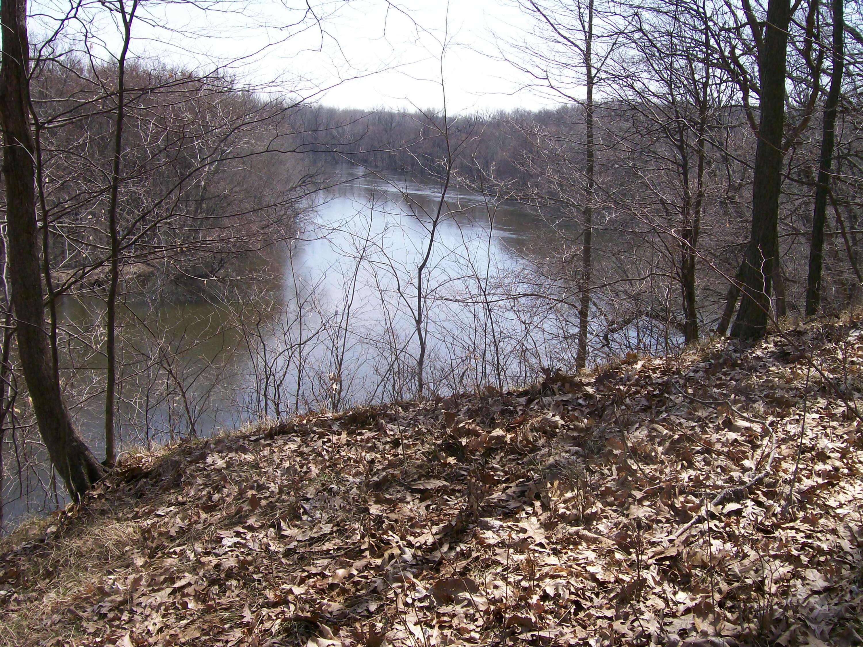 1630 Forest Trail Property Photo 3