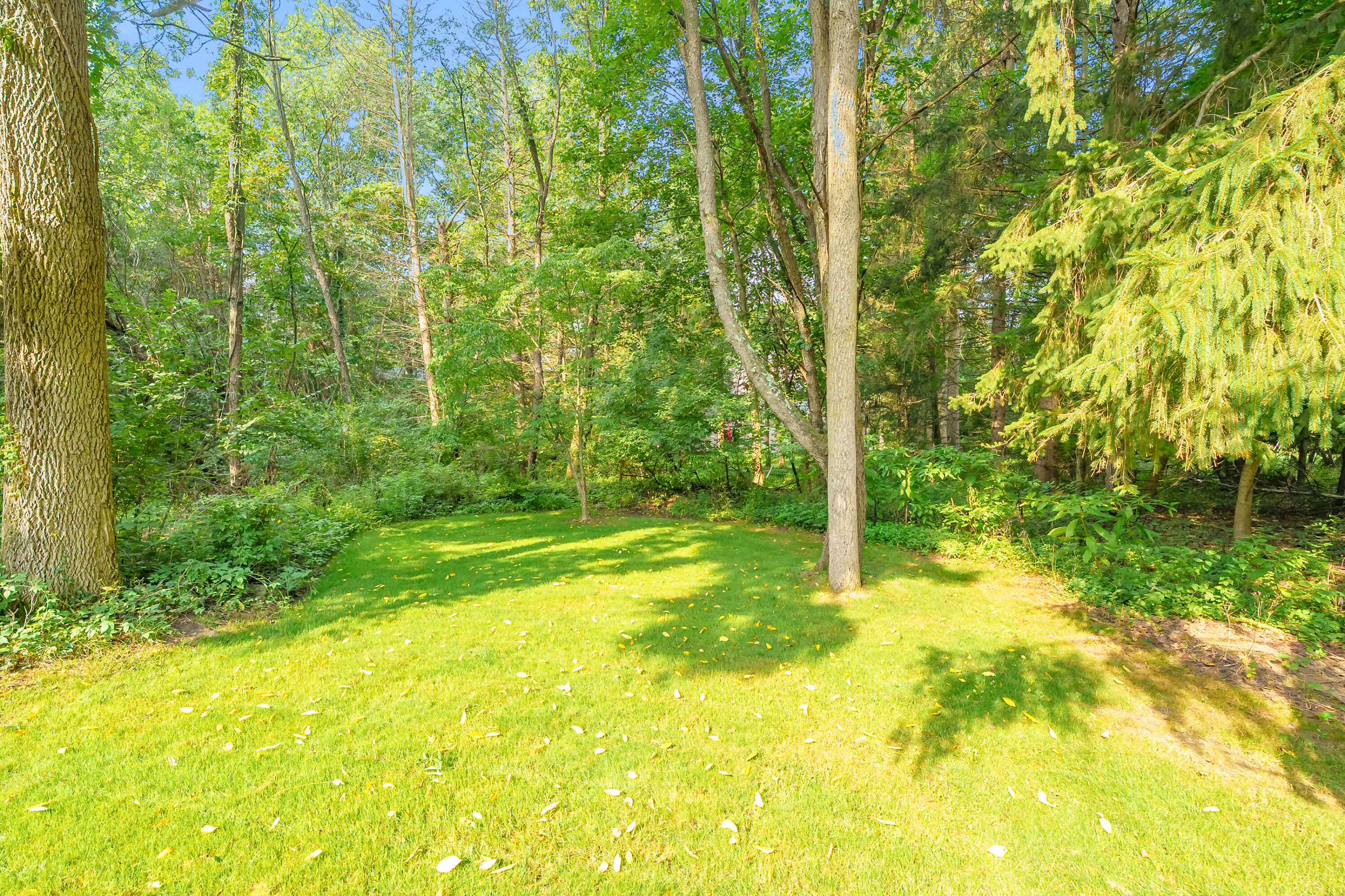 6251 Bethany Circle Property Photo 47