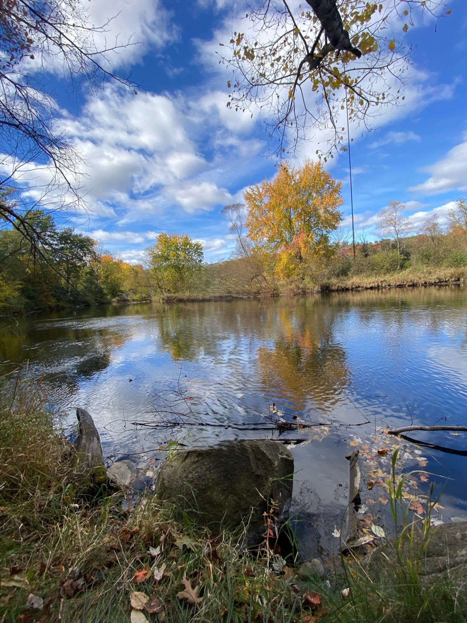 4724 Flat River Trail Property Photo 20
