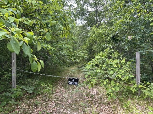 10063 N Irons Road Property Photo 1