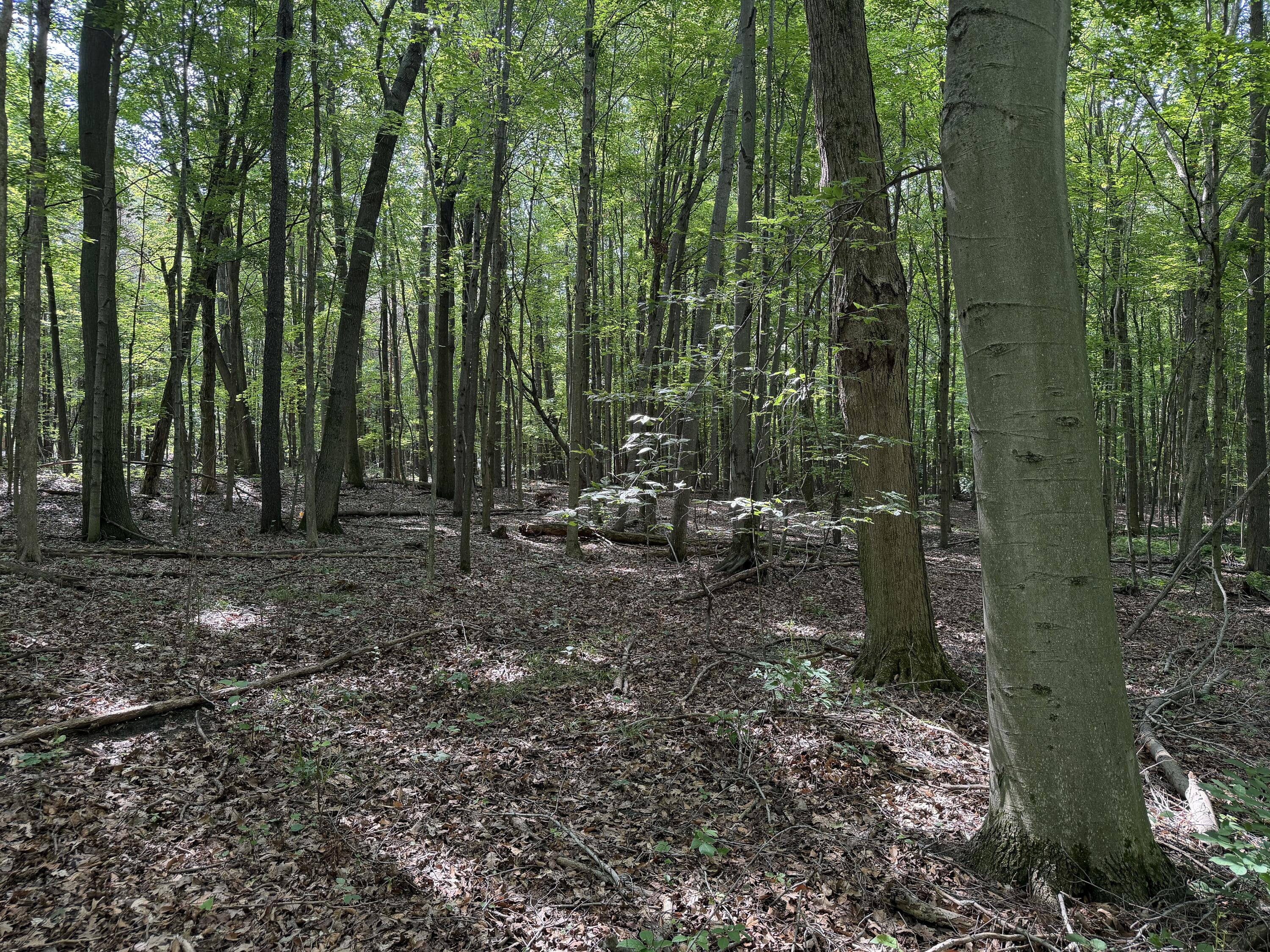 5686 19 Mile Road Ne Property Photo 8