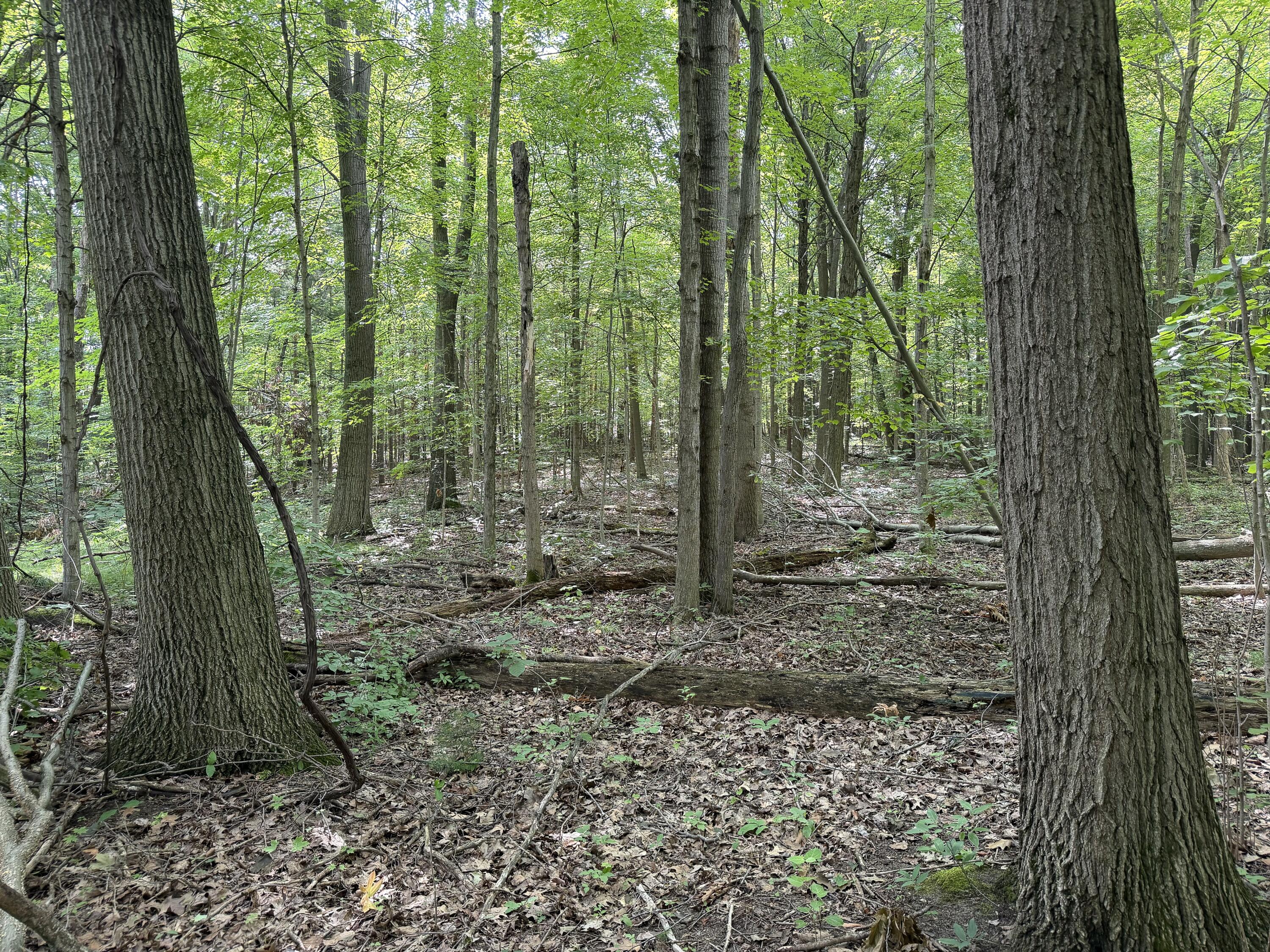 5686 19 Mile Road Ne Property Photo 9