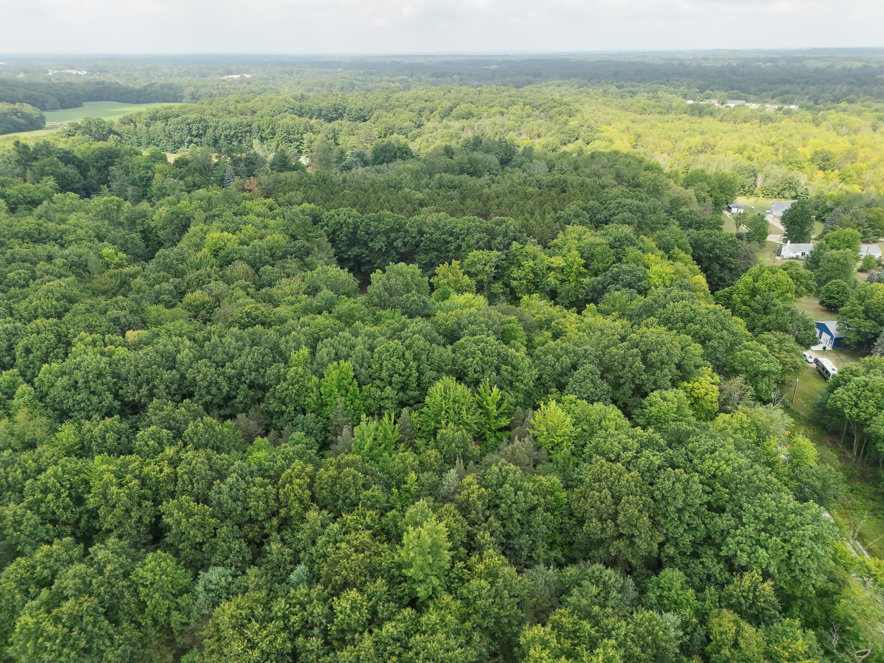 5686 19 Mile Road Ne Property Photo 11