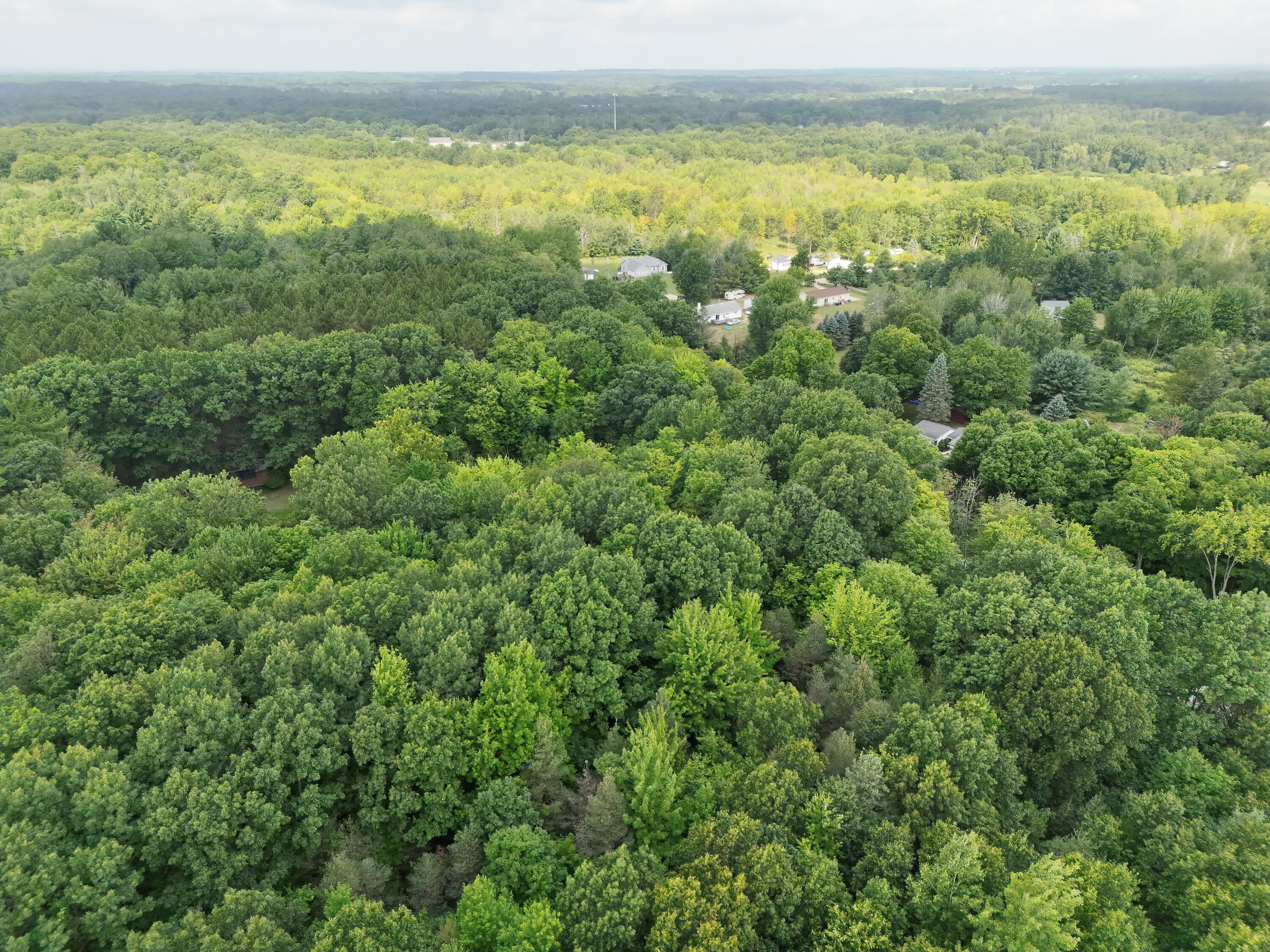 5686 19 Mile Road Ne Property Photo 12