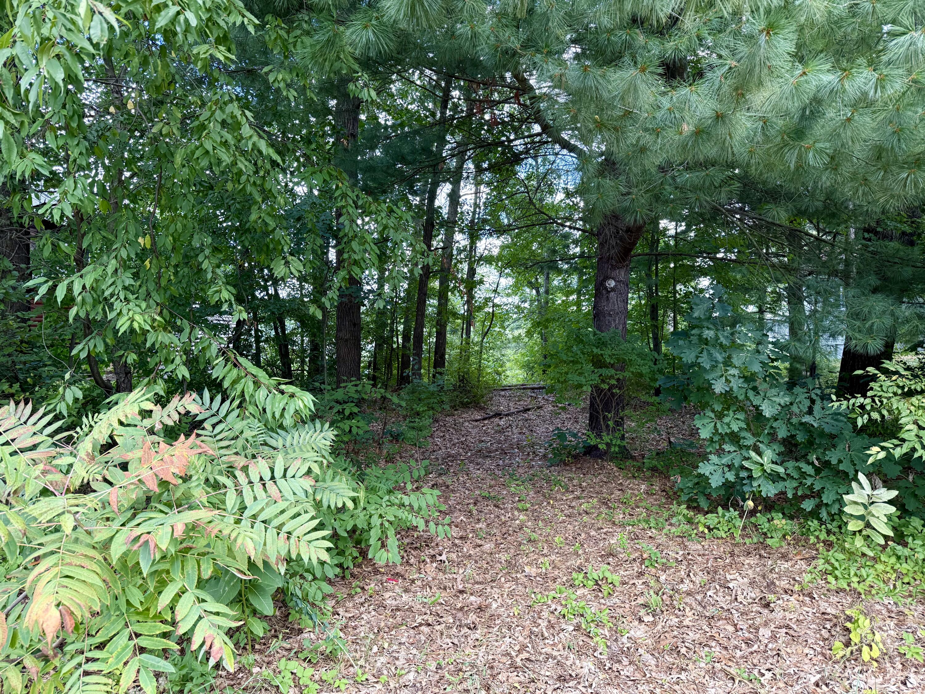 8605 Sunset Drive Property Photo 6