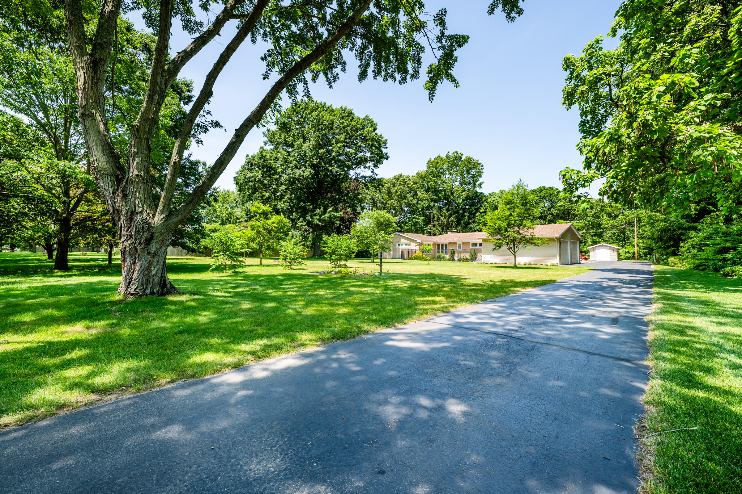 1595 Alex Path Property Photo 3
