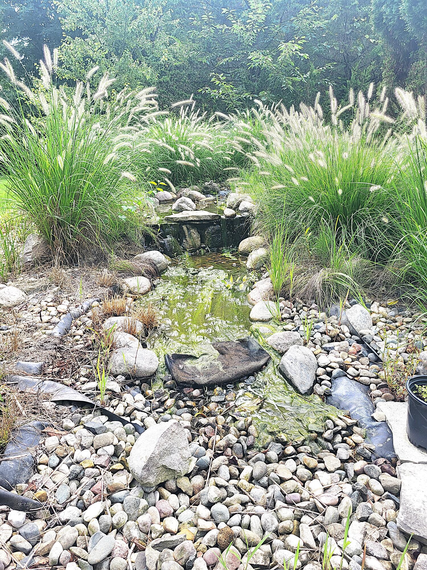 4240 Snow Road Property Photo 29
