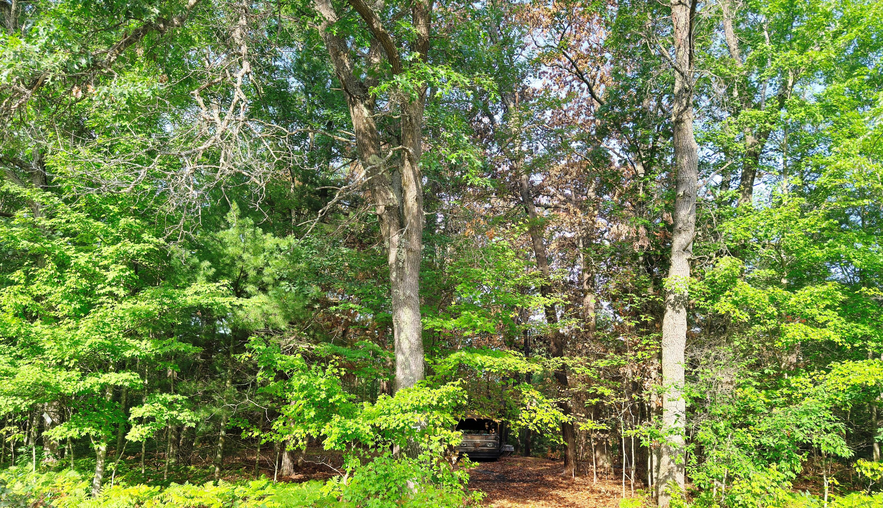 2679 S State Property Photo 1
