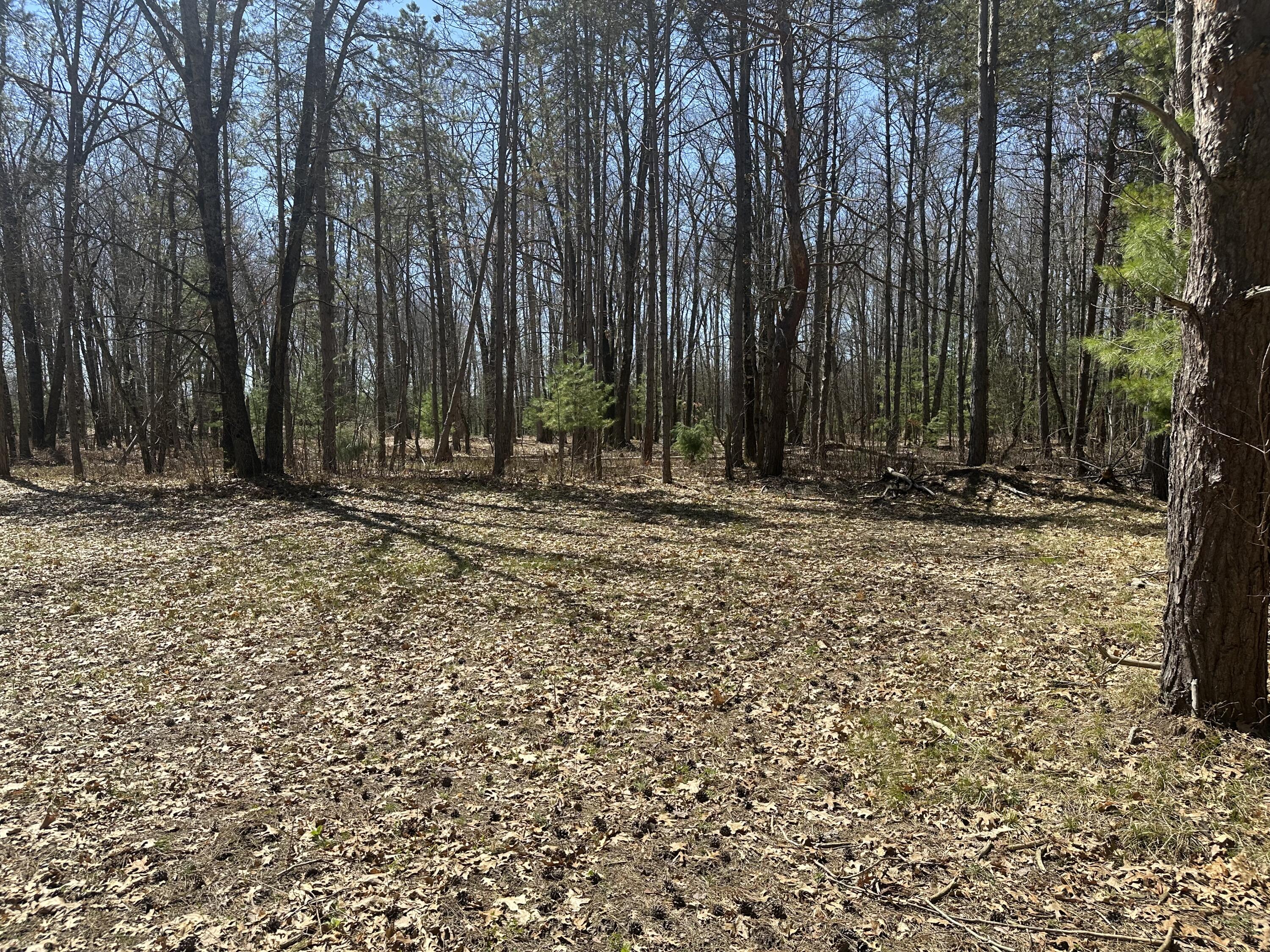 604 W Beaver Road Property Photo 91