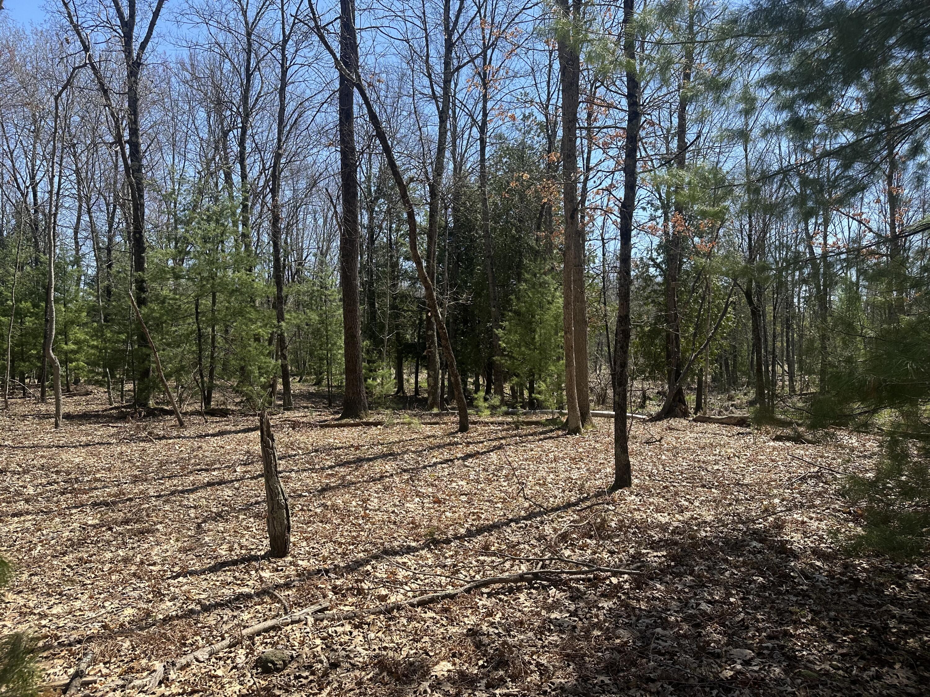 604 W Beaver Road Property Photo 103
