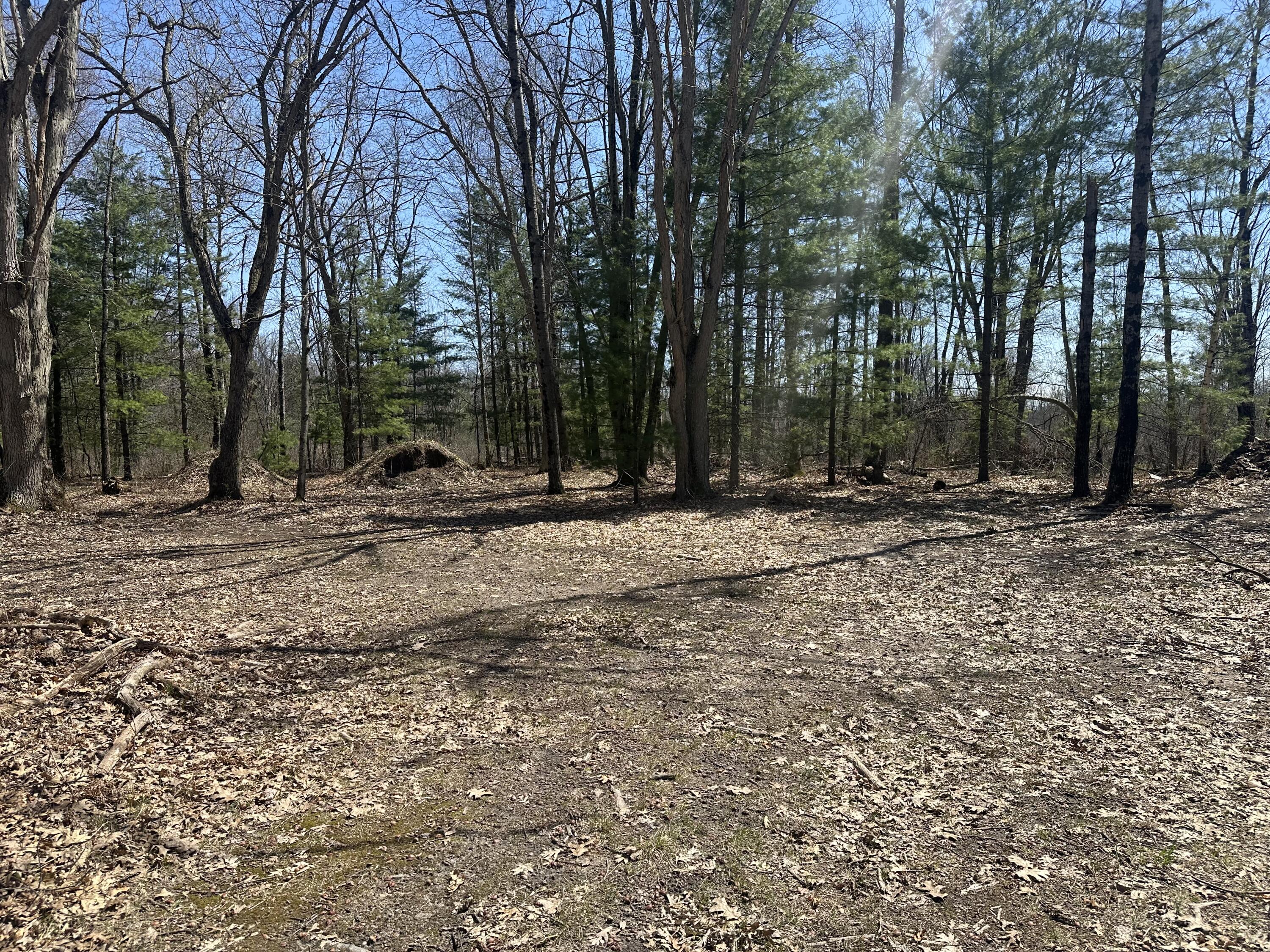 604 W Beaver Road Property Photo 106