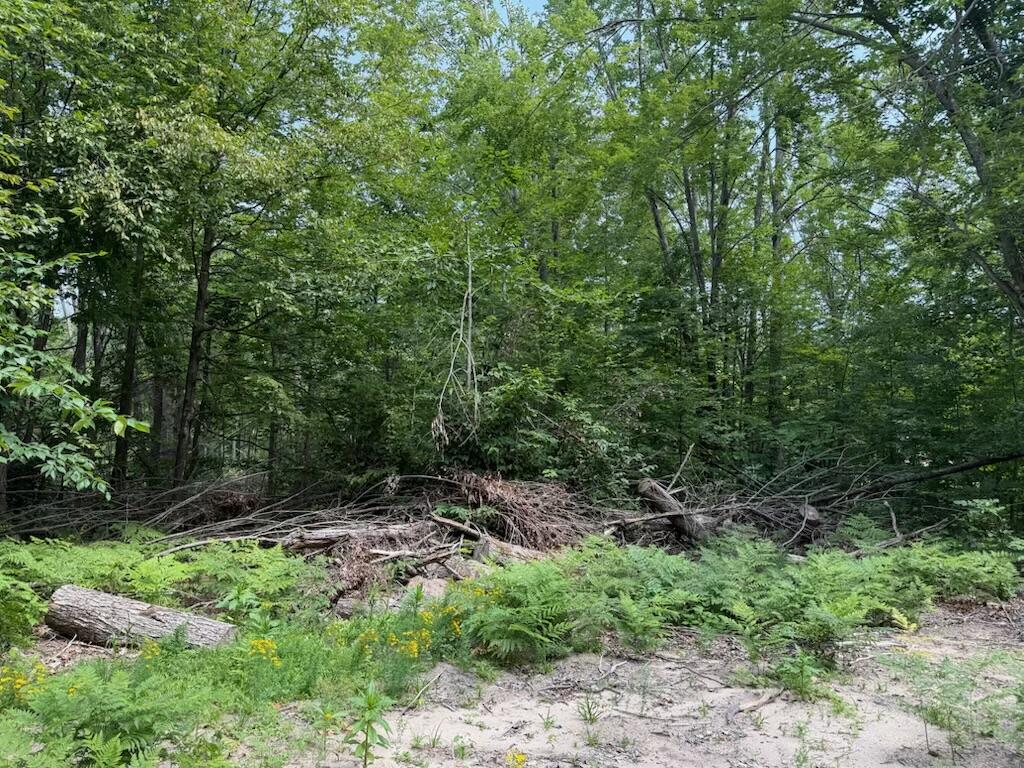 0 Padgett Road Property Photo 12