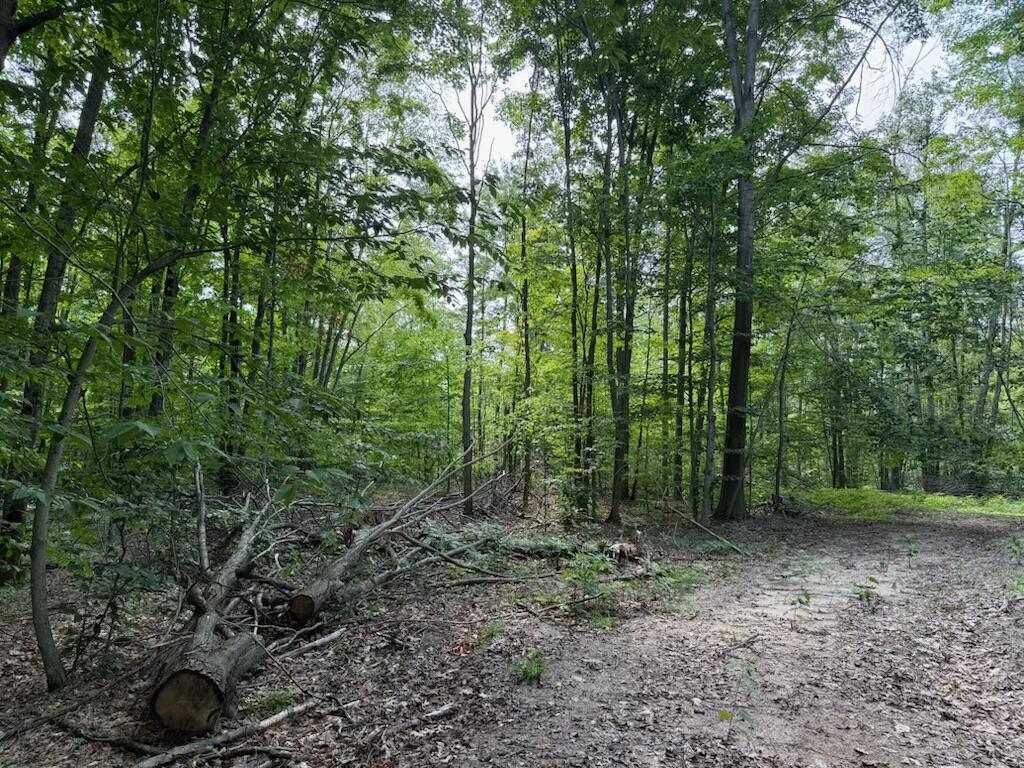0 Padgett Road Property Photo 15