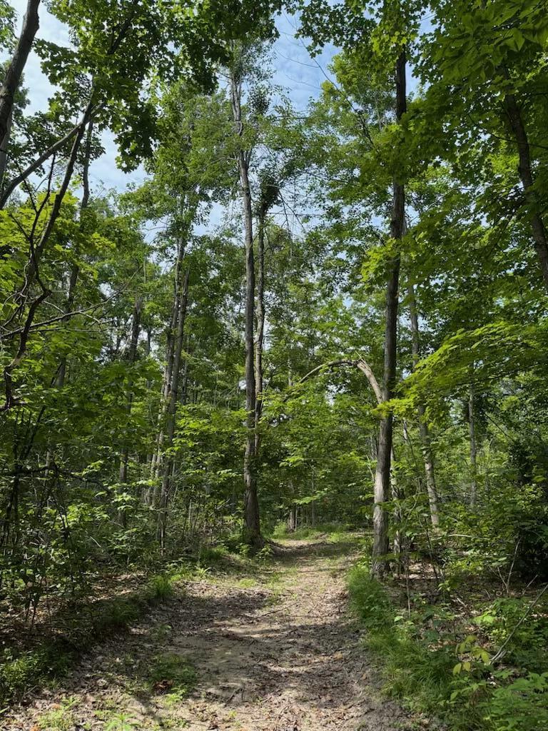 0 Padgett Road Property Photo 18