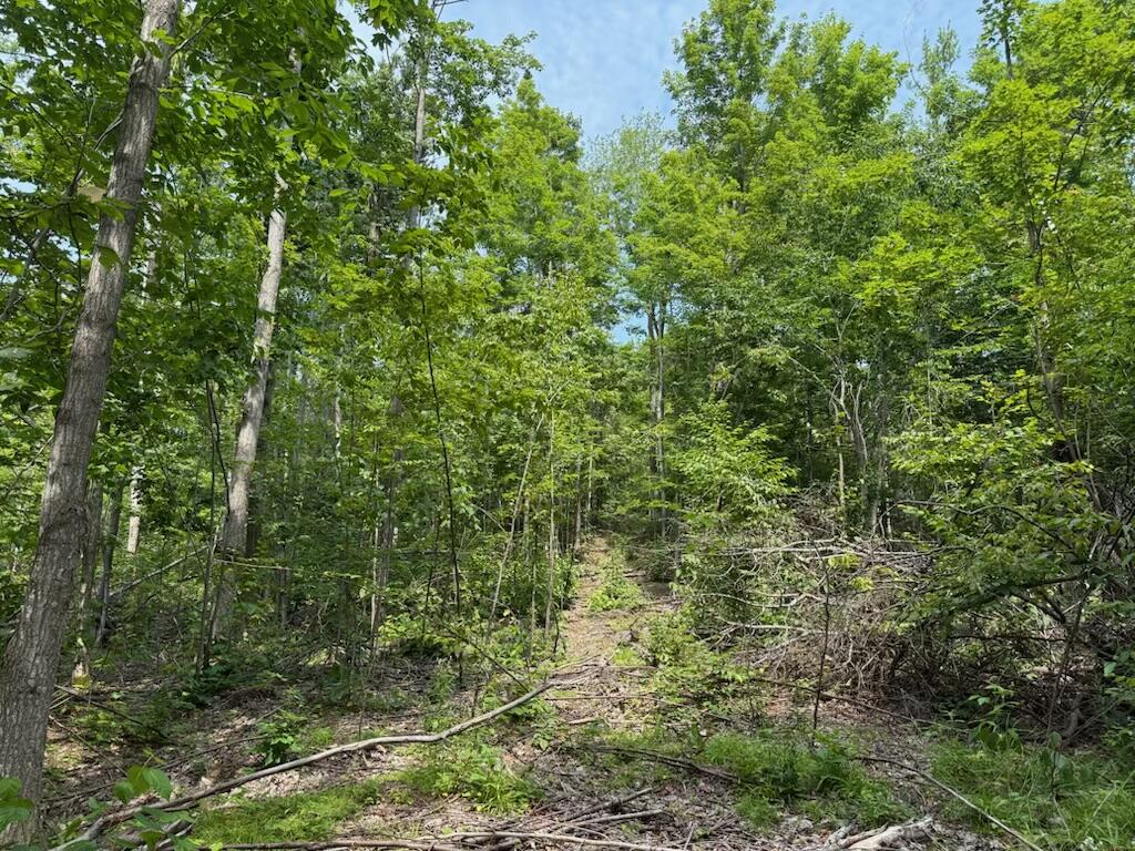 0 Padgett Road Property Photo 19