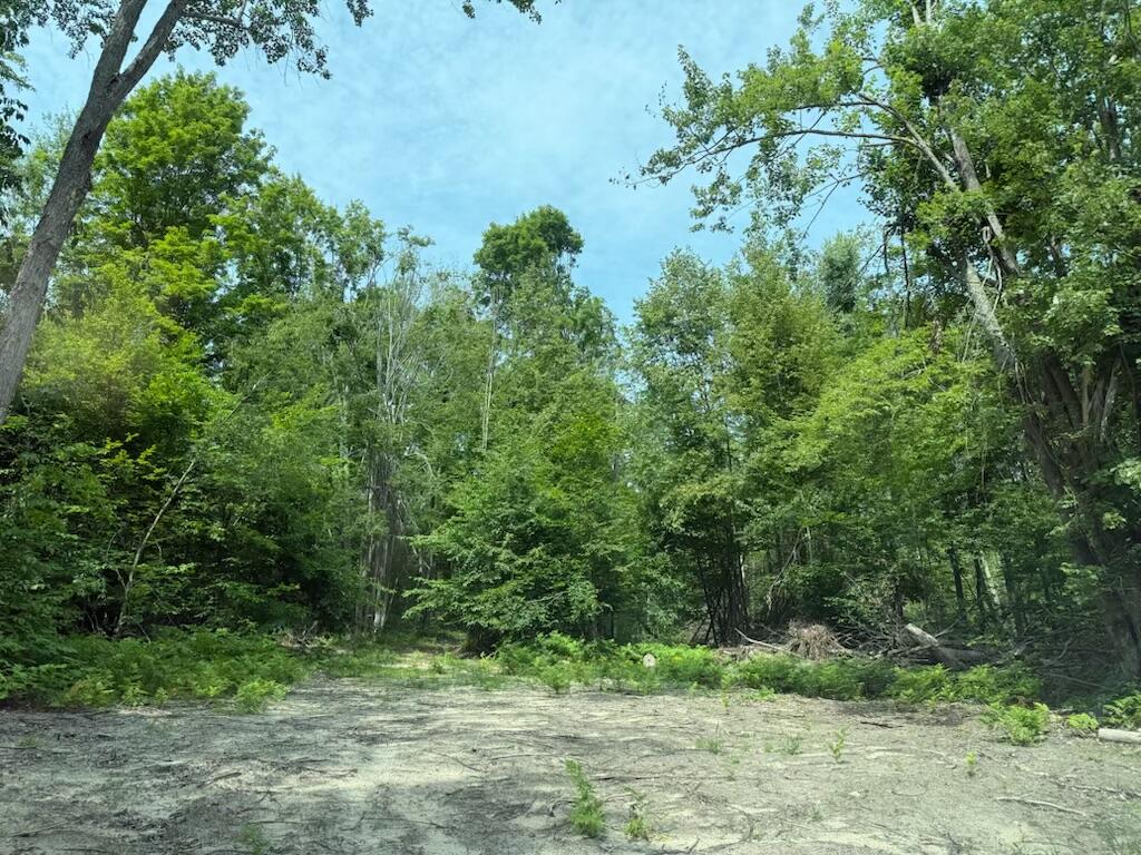 0 Padgett Road Property Photo 20