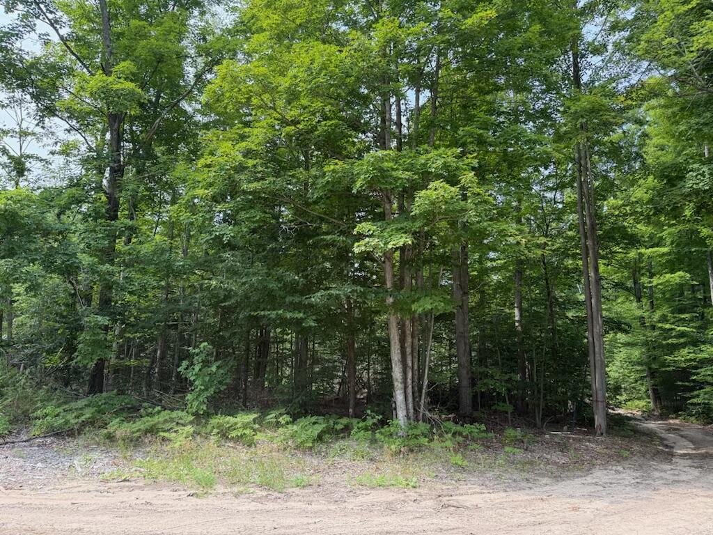0 Padgett Road Property Photo 21
