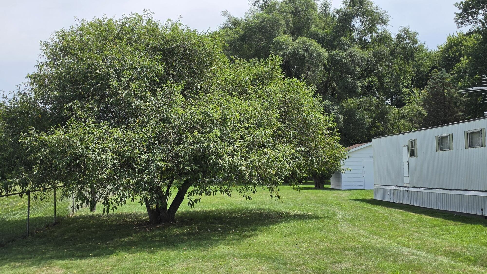 1618 Case Drive Property Photo 18