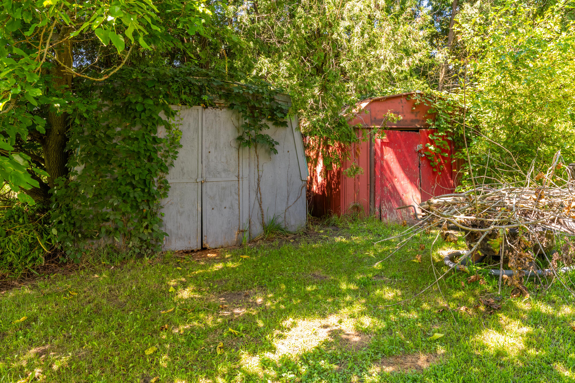 8890 Territorial Road Property Photo 25