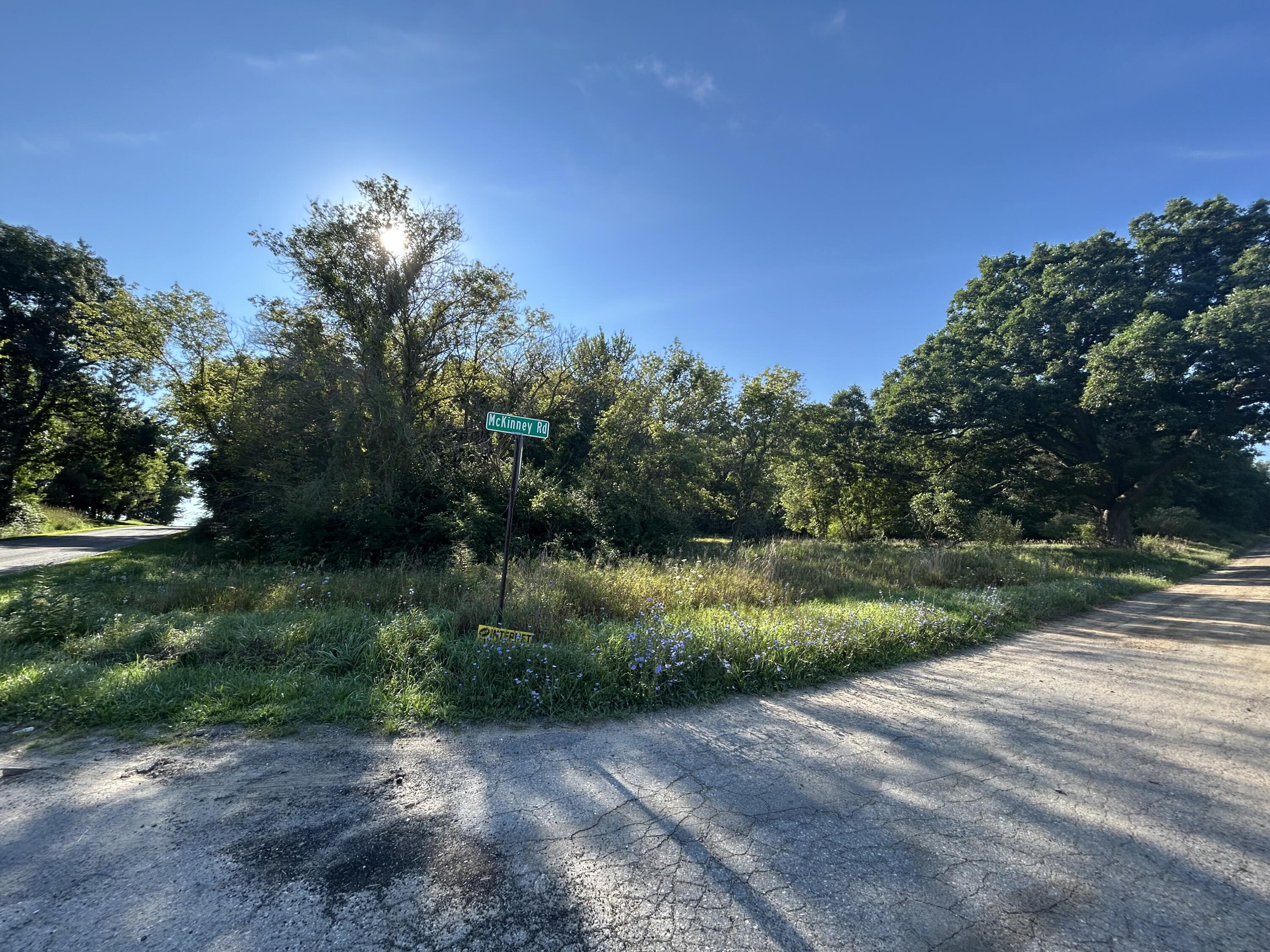 0 Mckinney Property Photo 2