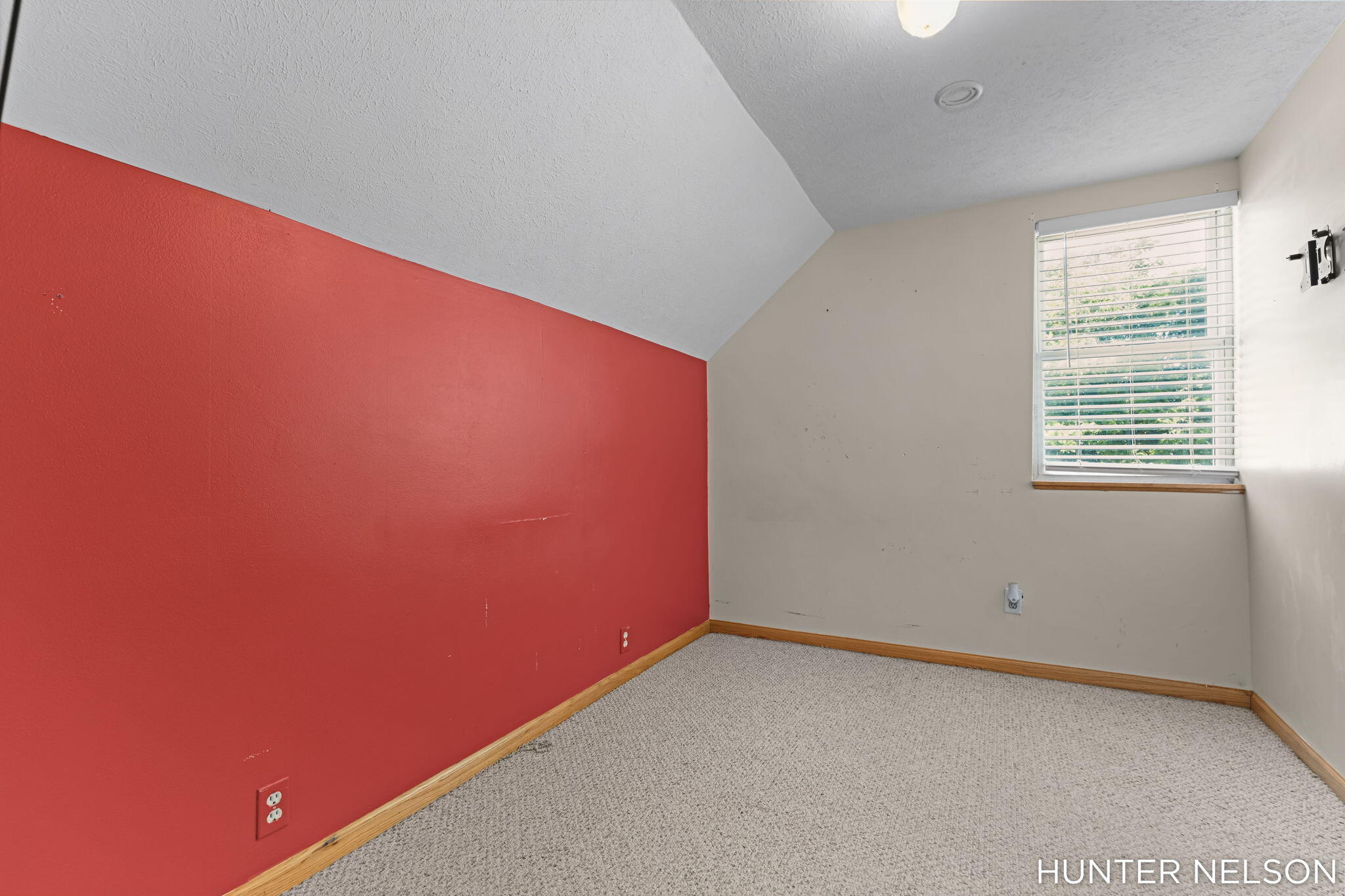 48 Arthur Street Property Photo 24