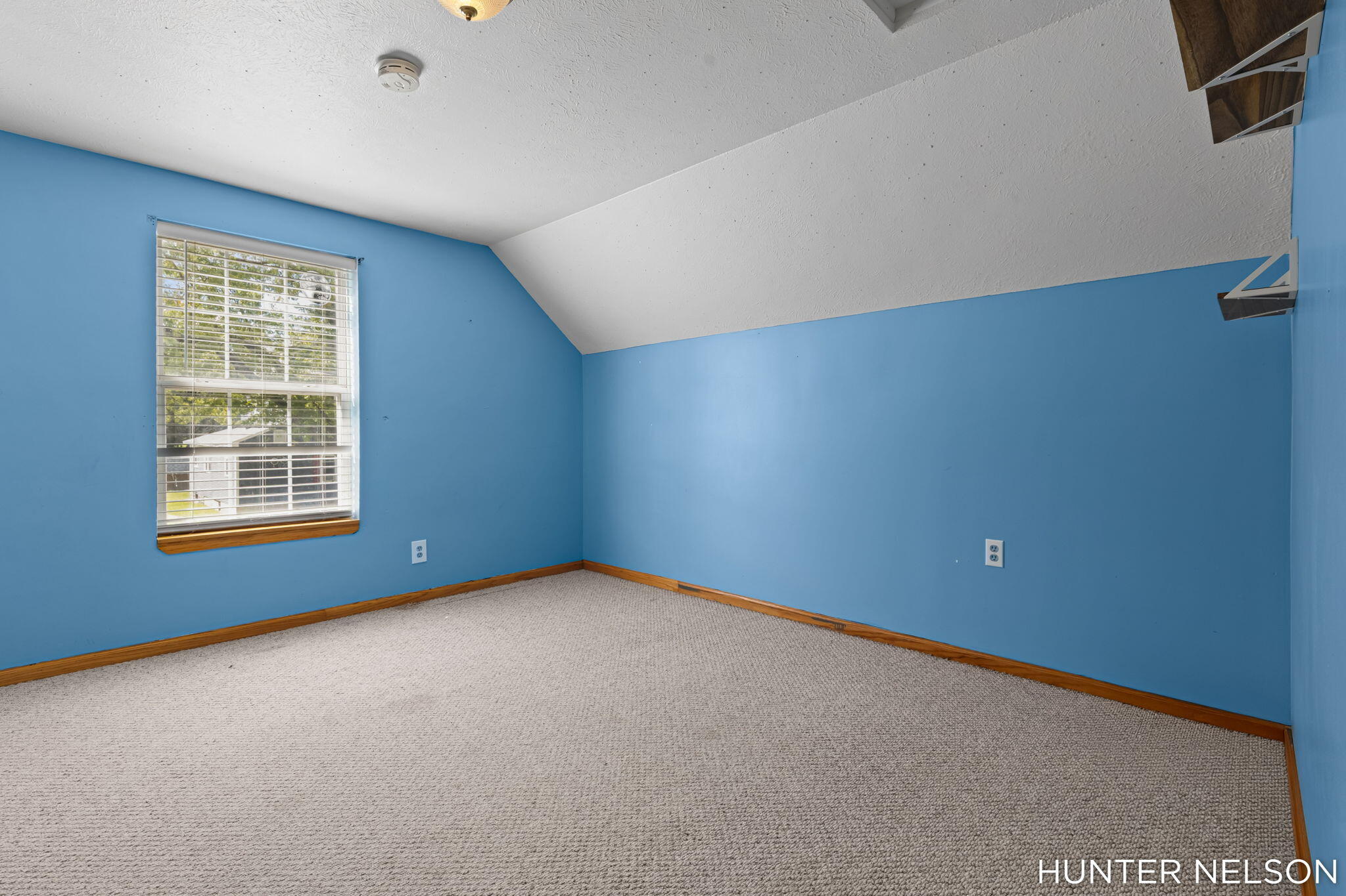 48 Arthur Street Property Photo 25