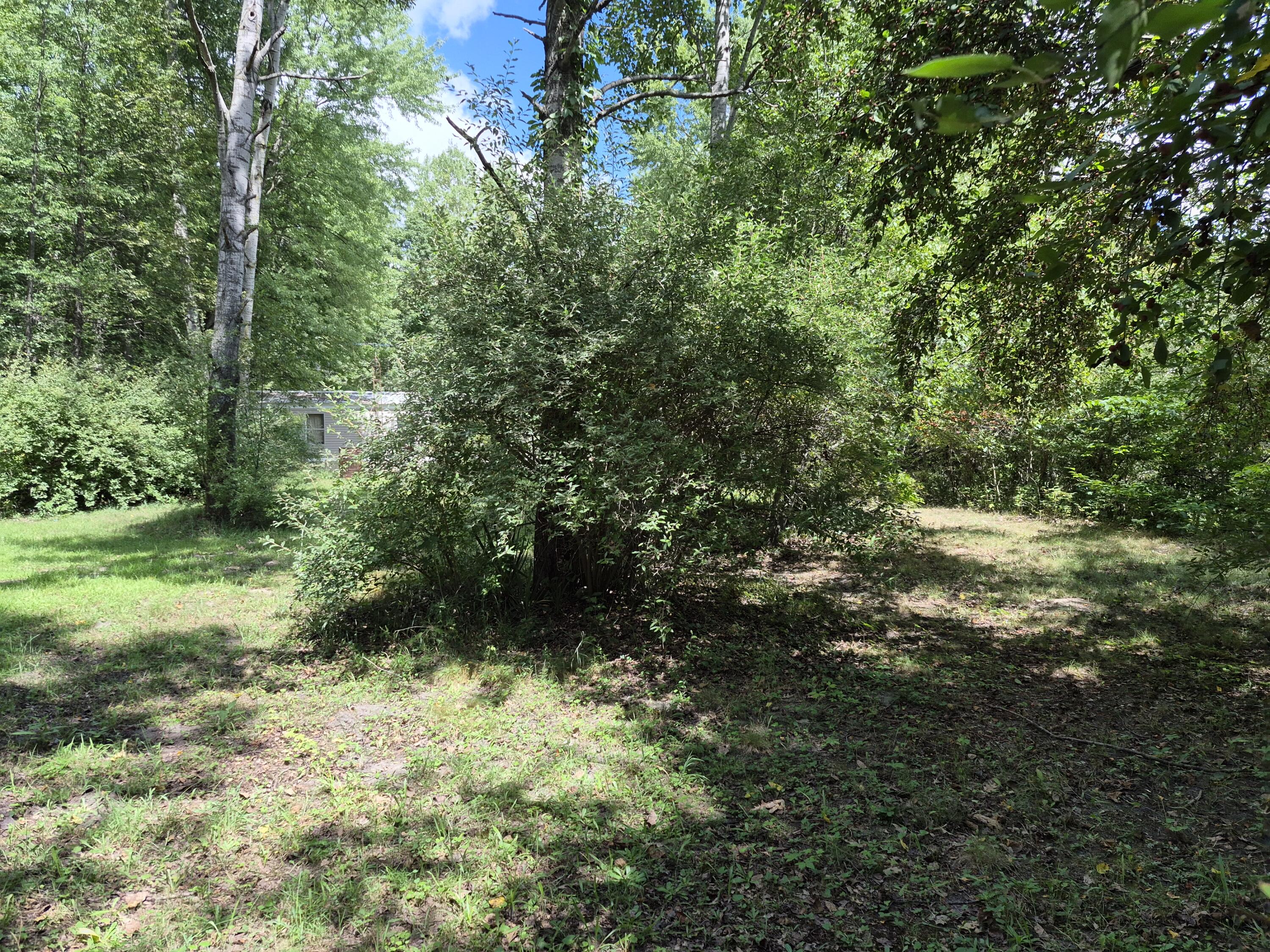 4107 E White River Drive Property Photo 4