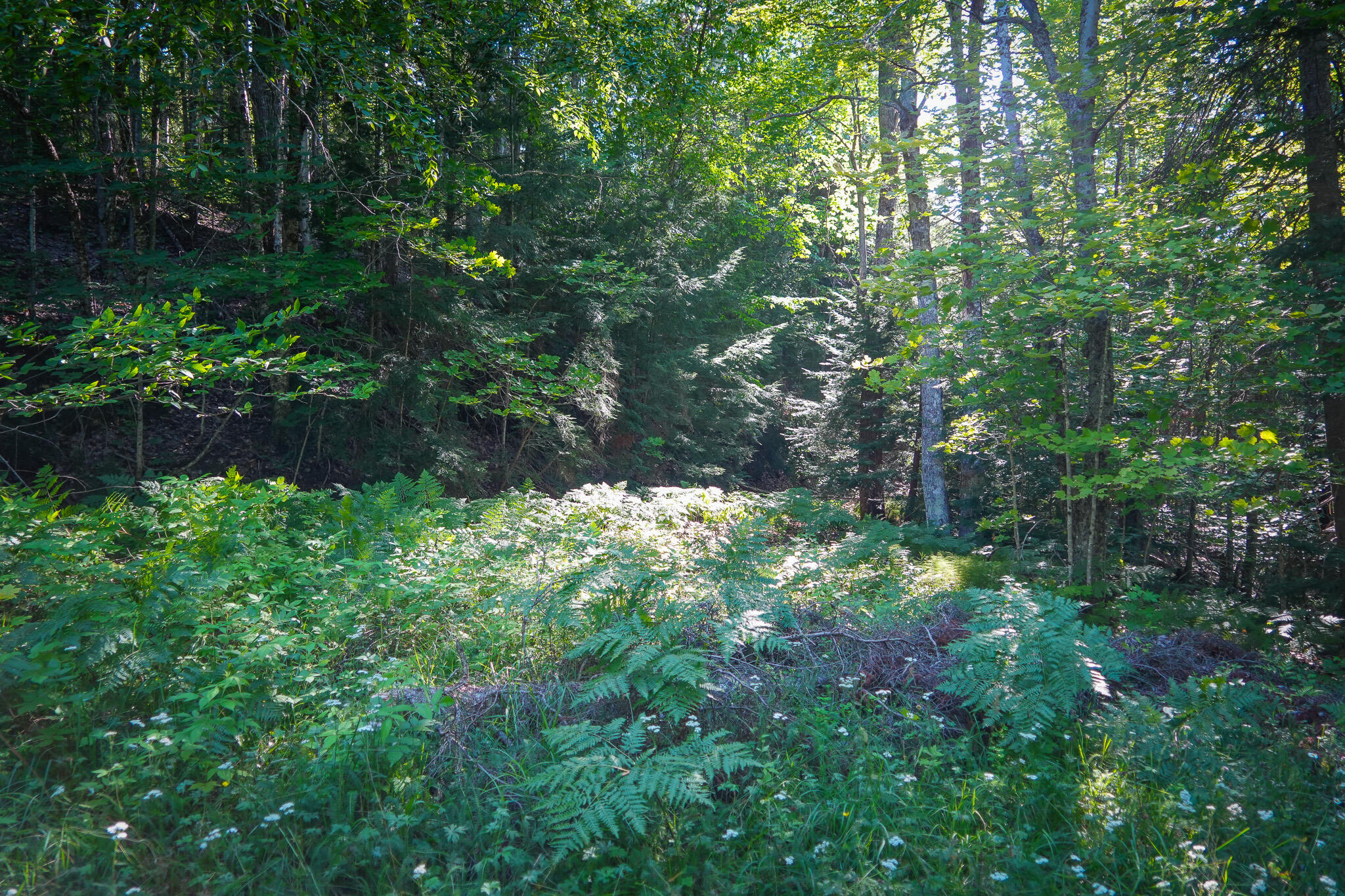 3505 N Timber Lost Road Property Photo 33