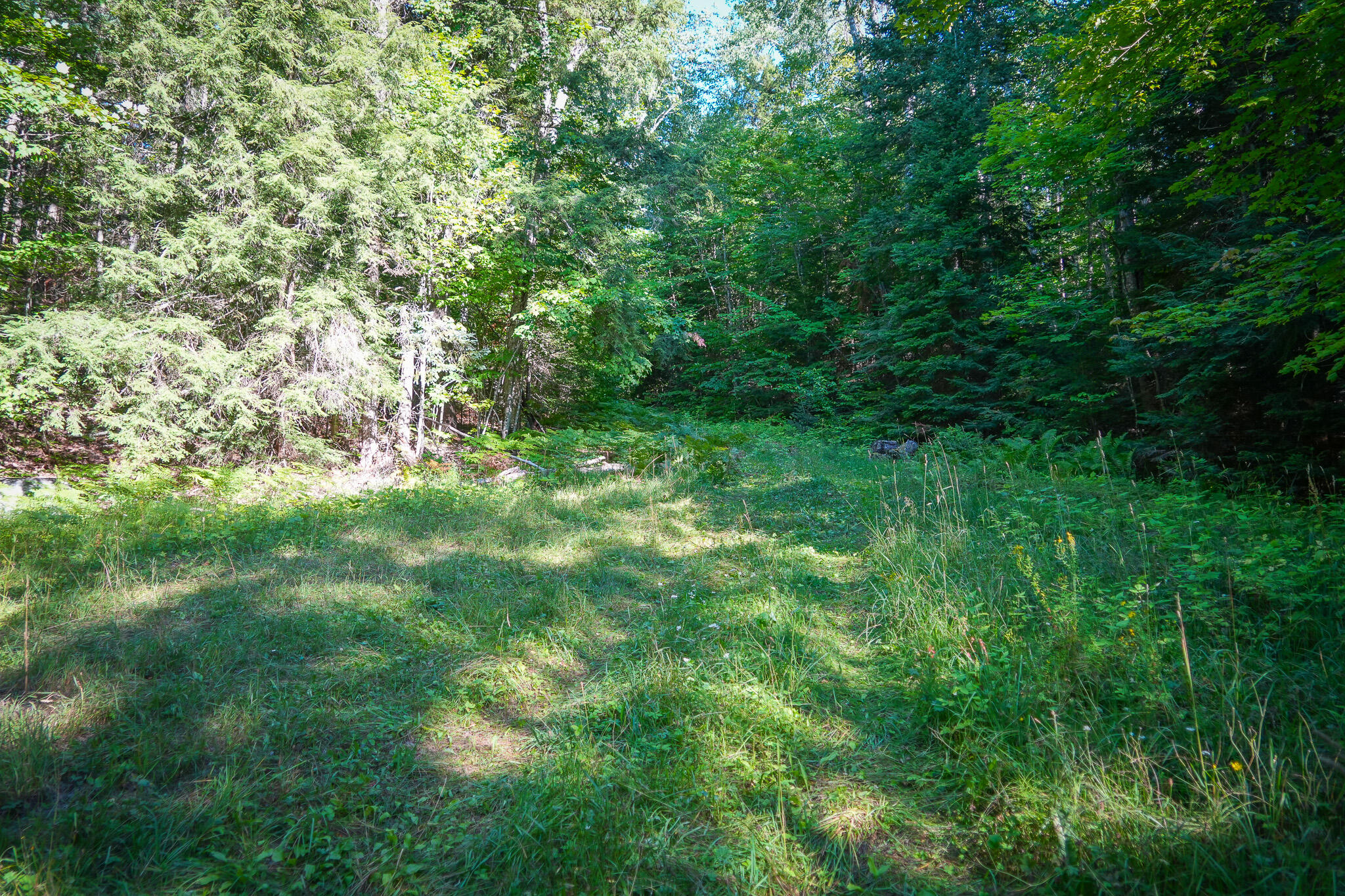 3505 N Timber Lost Road Property Photo 34
