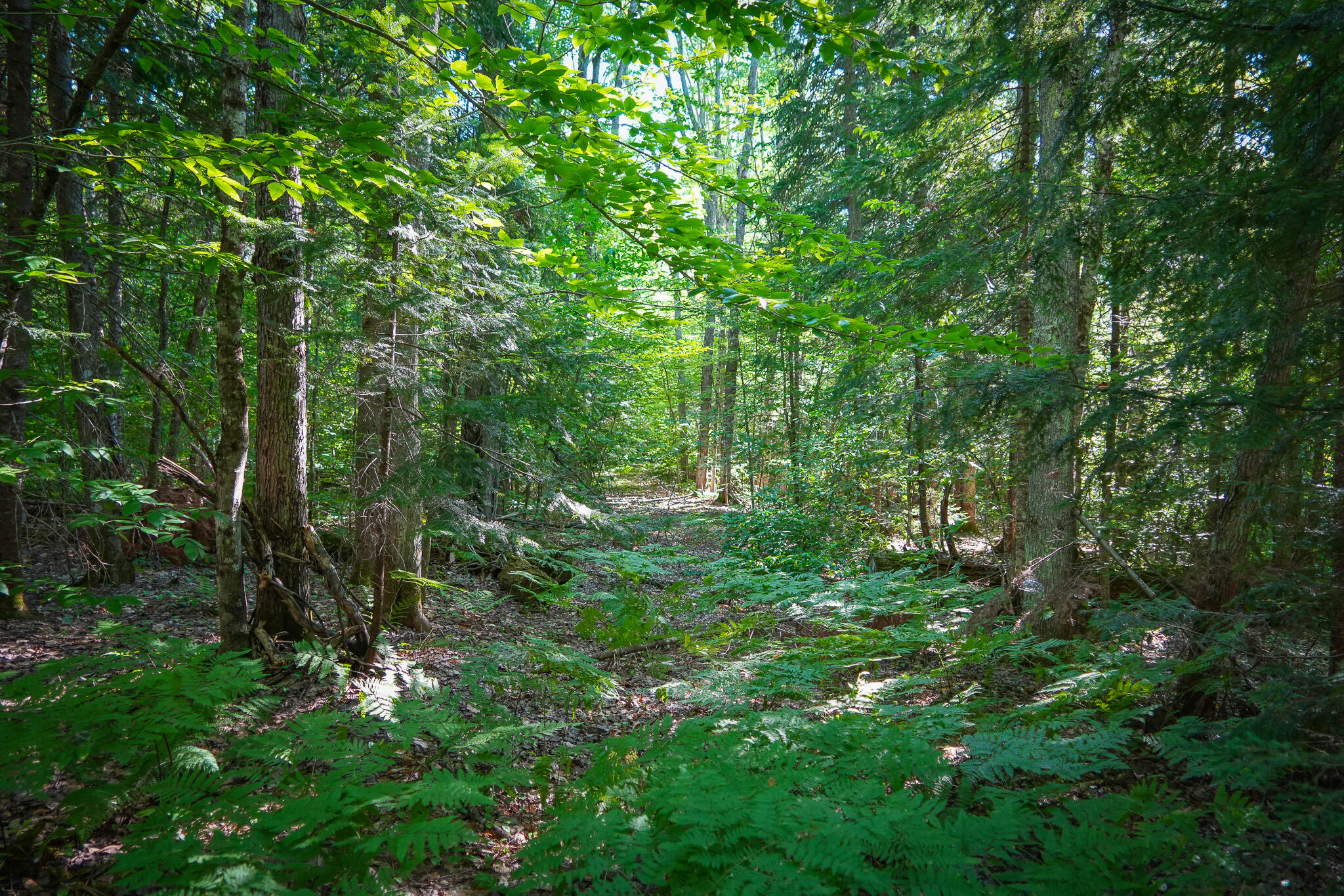 3505 N Timber Lost Road Property Photo 38