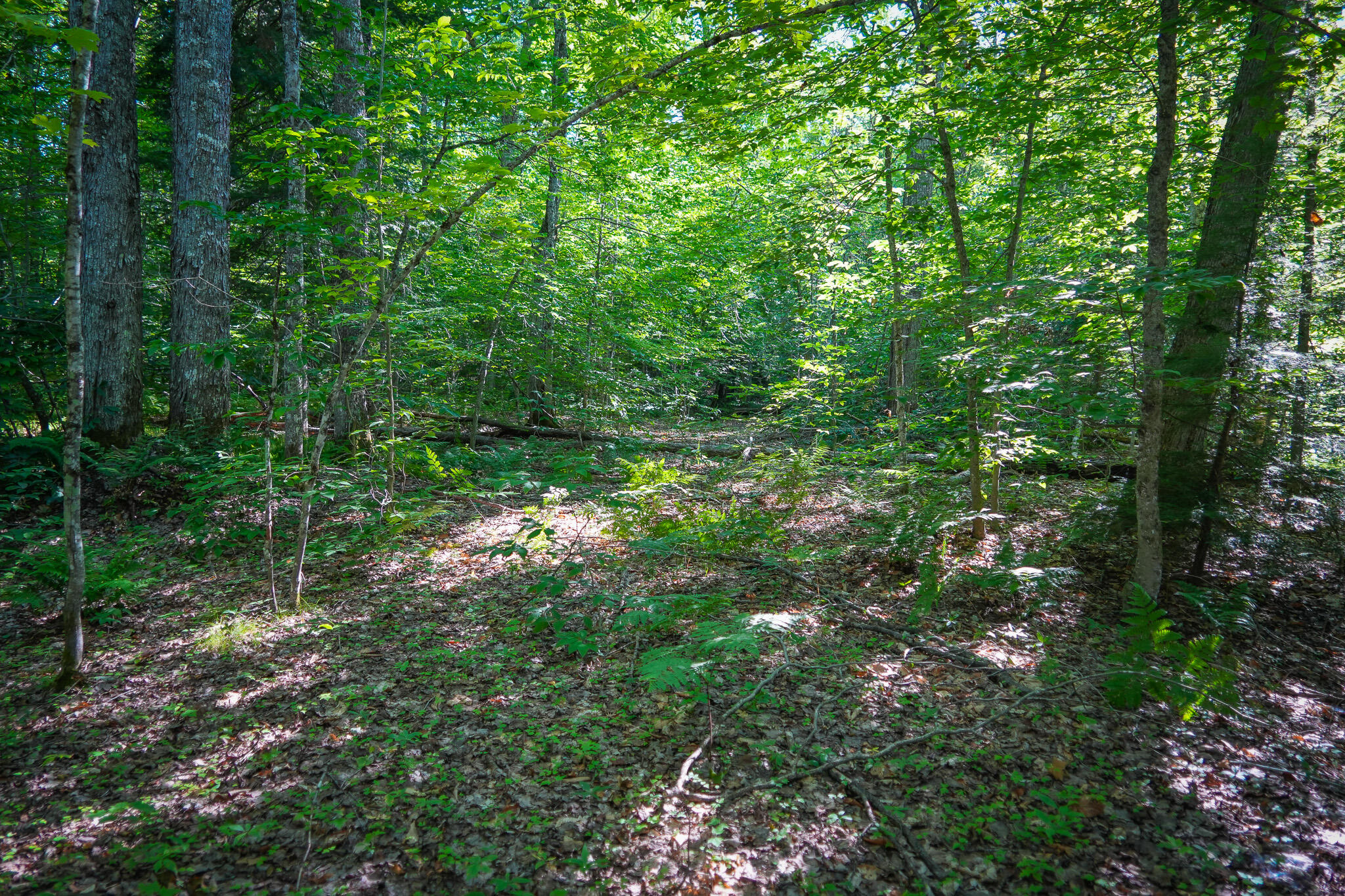 3505 N Timber Lost Road Property Photo 40