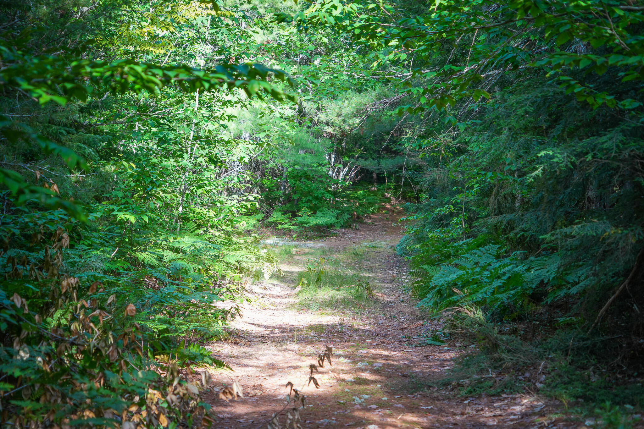 3505 N Timber Lost Road Property Photo 47