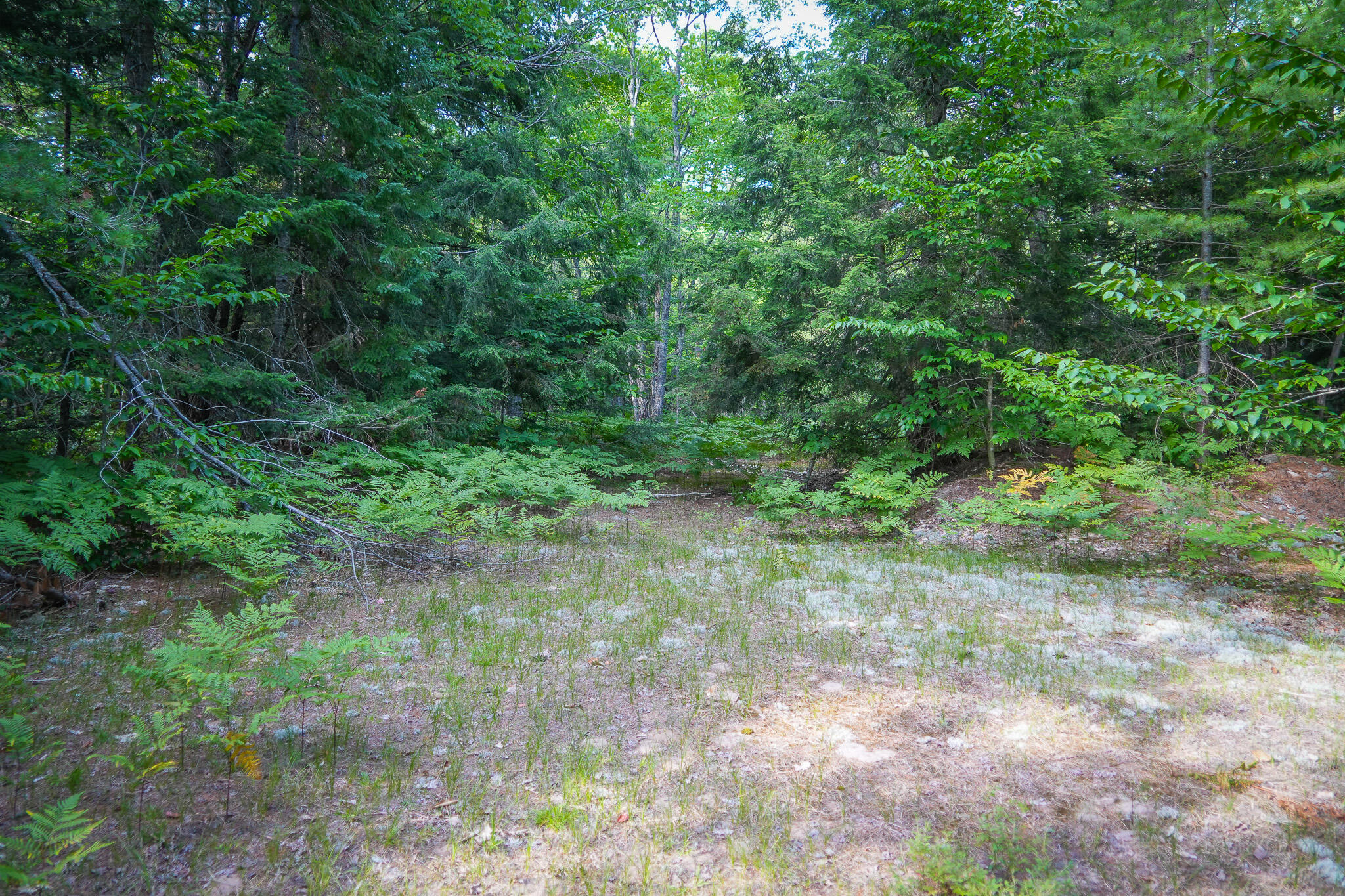 3505 N Timber Lost Road Property Photo 48
