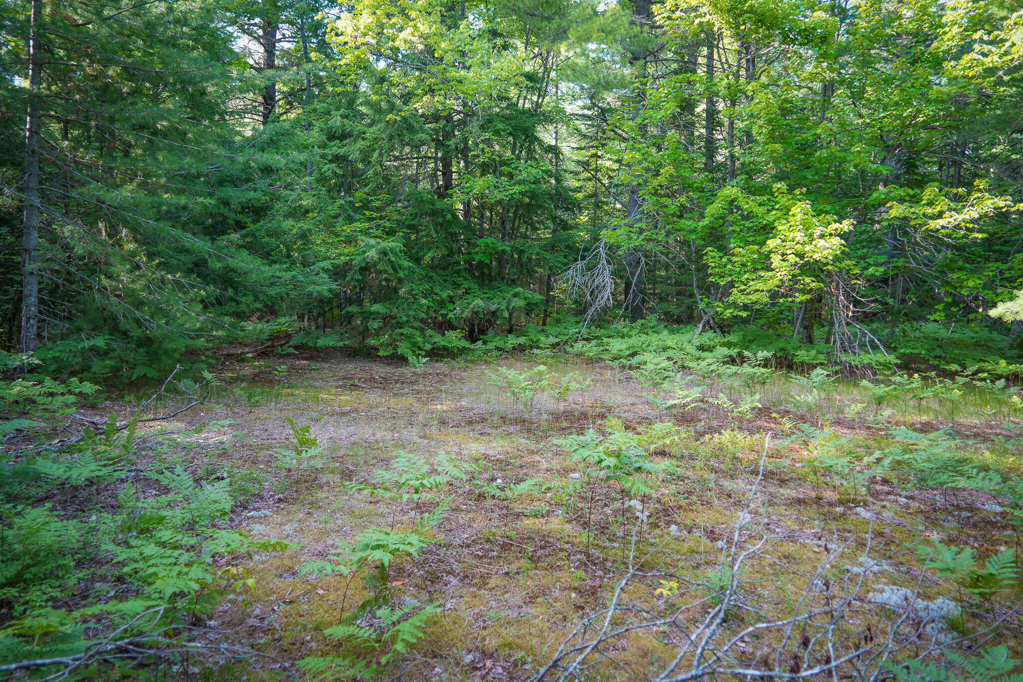3505 N Timber Lost Road Property Photo 49